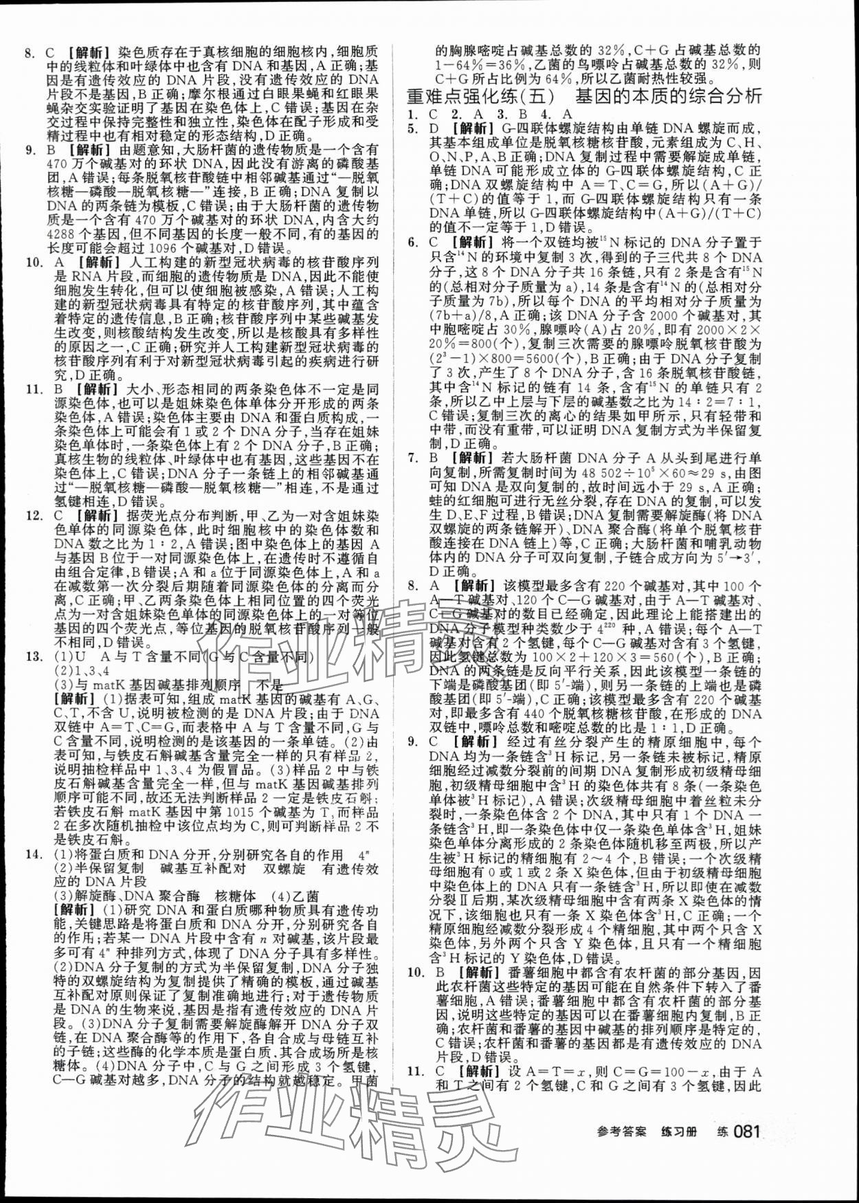 2024年全品學練考高中生物必修2人教版 第15頁