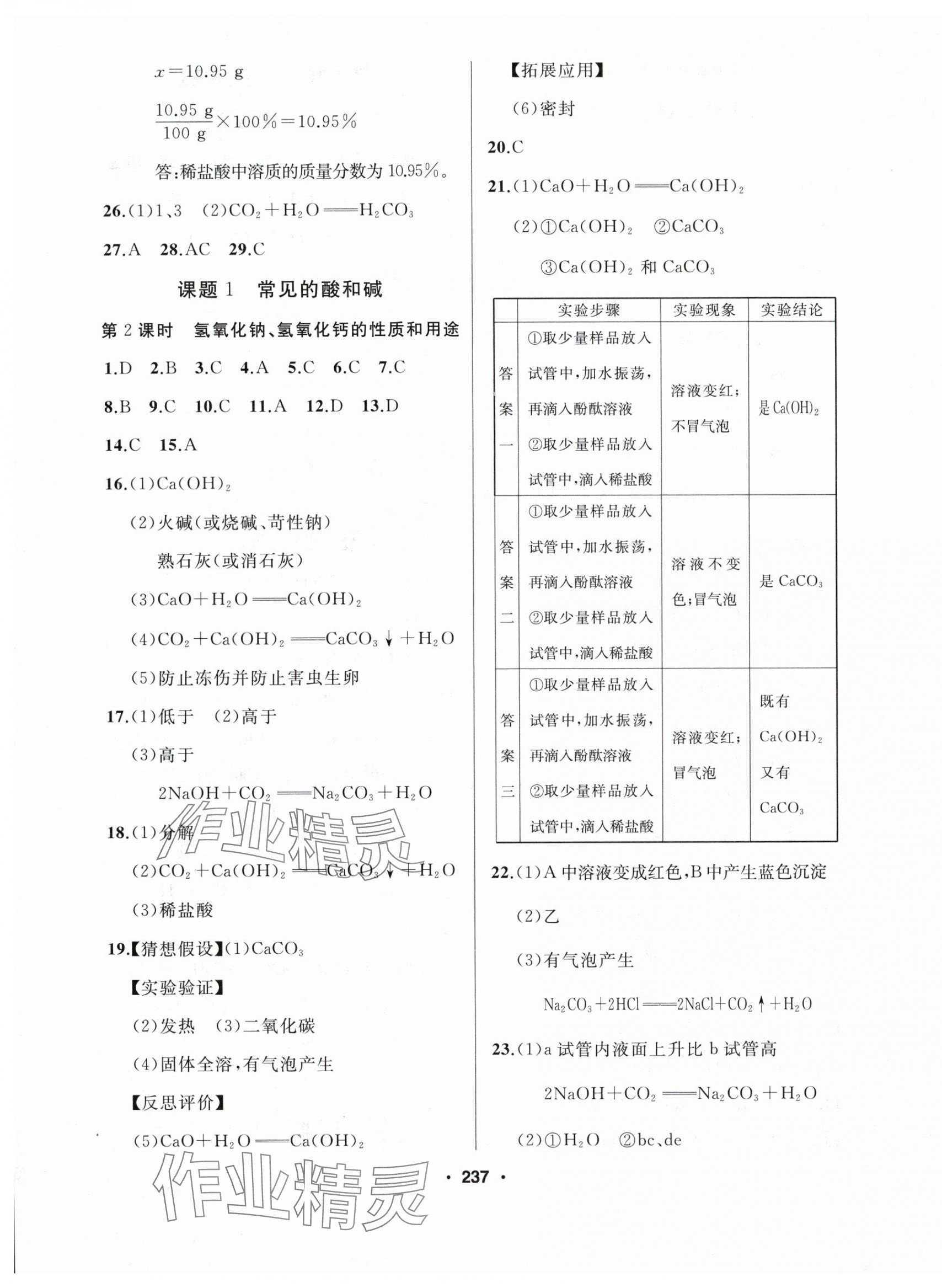 2024年试题优化课堂同步九年级化学下册人教版 第7页