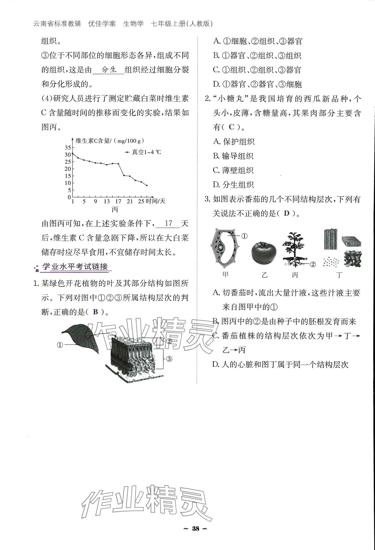 2024云南省標準教輔優(yōu)佳學案七年級生物上冊 參考答案第38頁