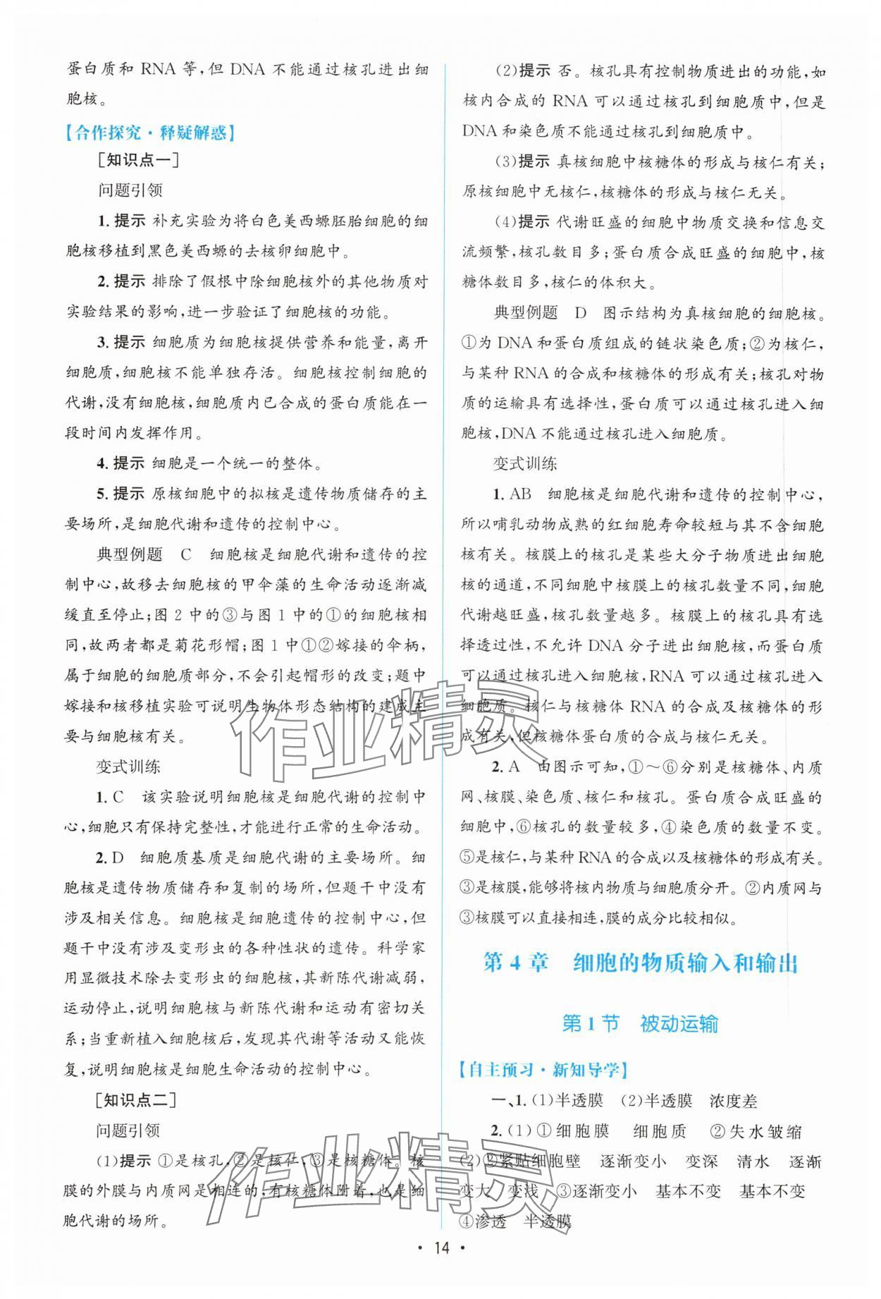 2023年高中同步測控優(yōu)化設計生物必修1分子與細胞增強版 參考答案第13頁