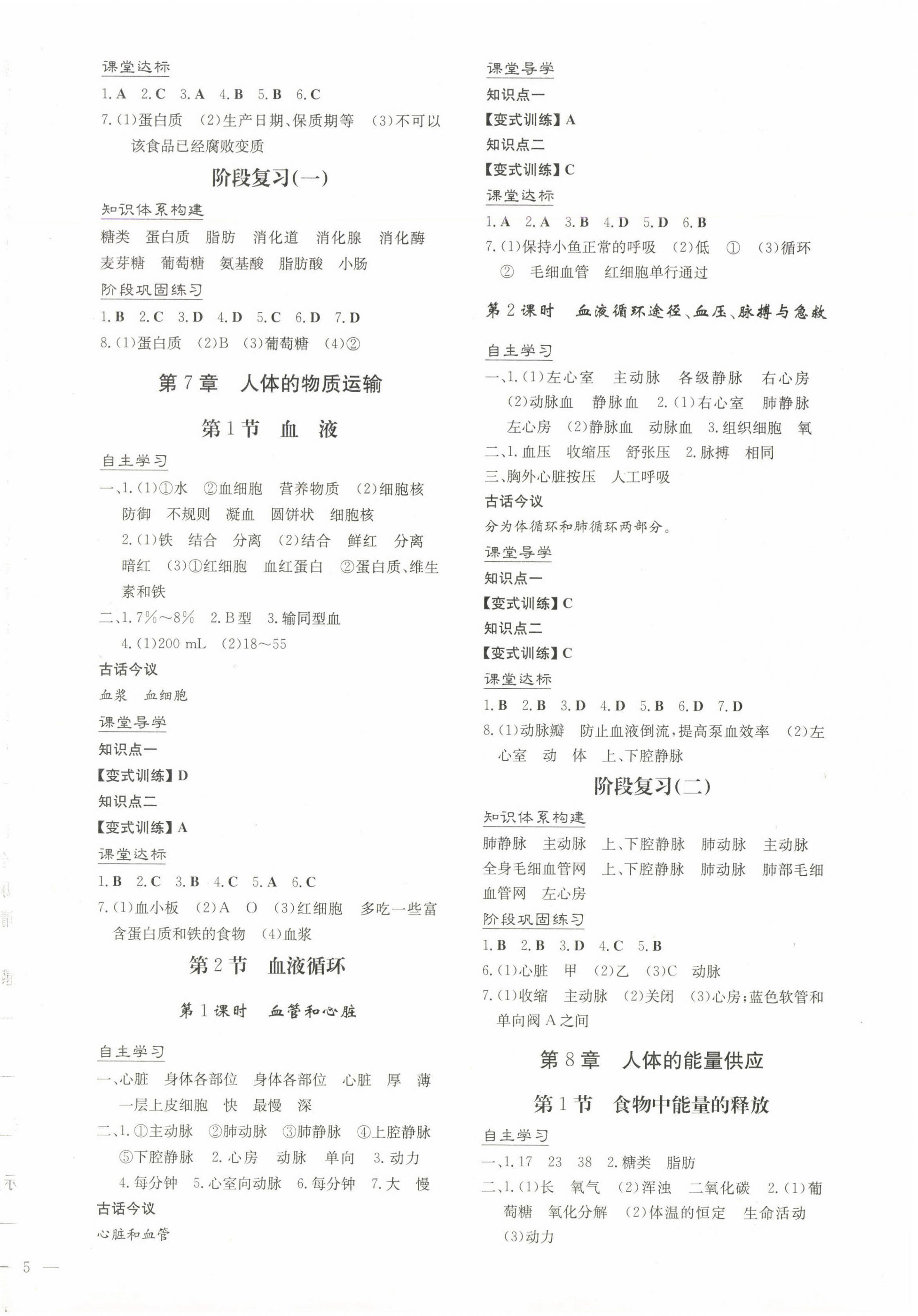 2025年同步精練廣東人民出版社七年級生物下冊北師大版 第2頁