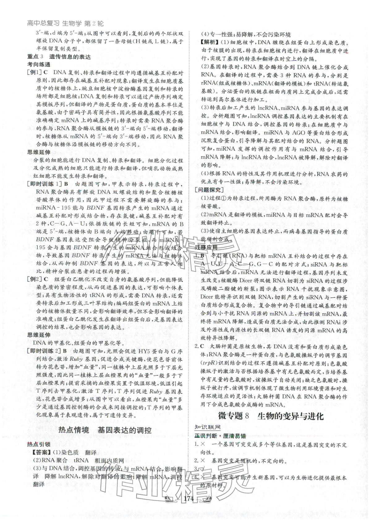 2026年高中总复习导与练高中生物&nbsp;参考答案第14页