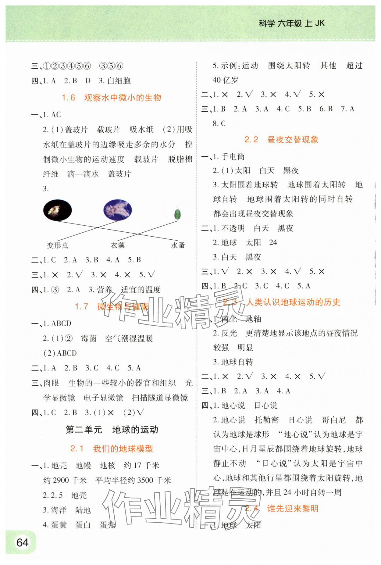 2024年黃岡同步訓(xùn)練六年級科學(xué)上冊教科版 參考答案第2頁