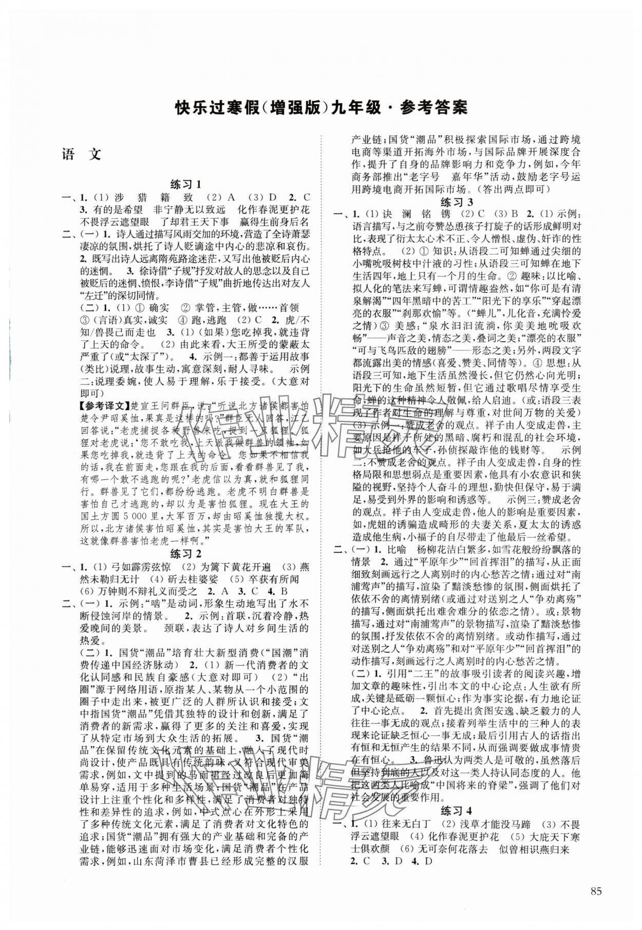 2025年快樂過寒假九年級(jí)增強(qiáng)版江蘇鳳凰科學(xué)技術(shù)出版社 第1頁(yè)