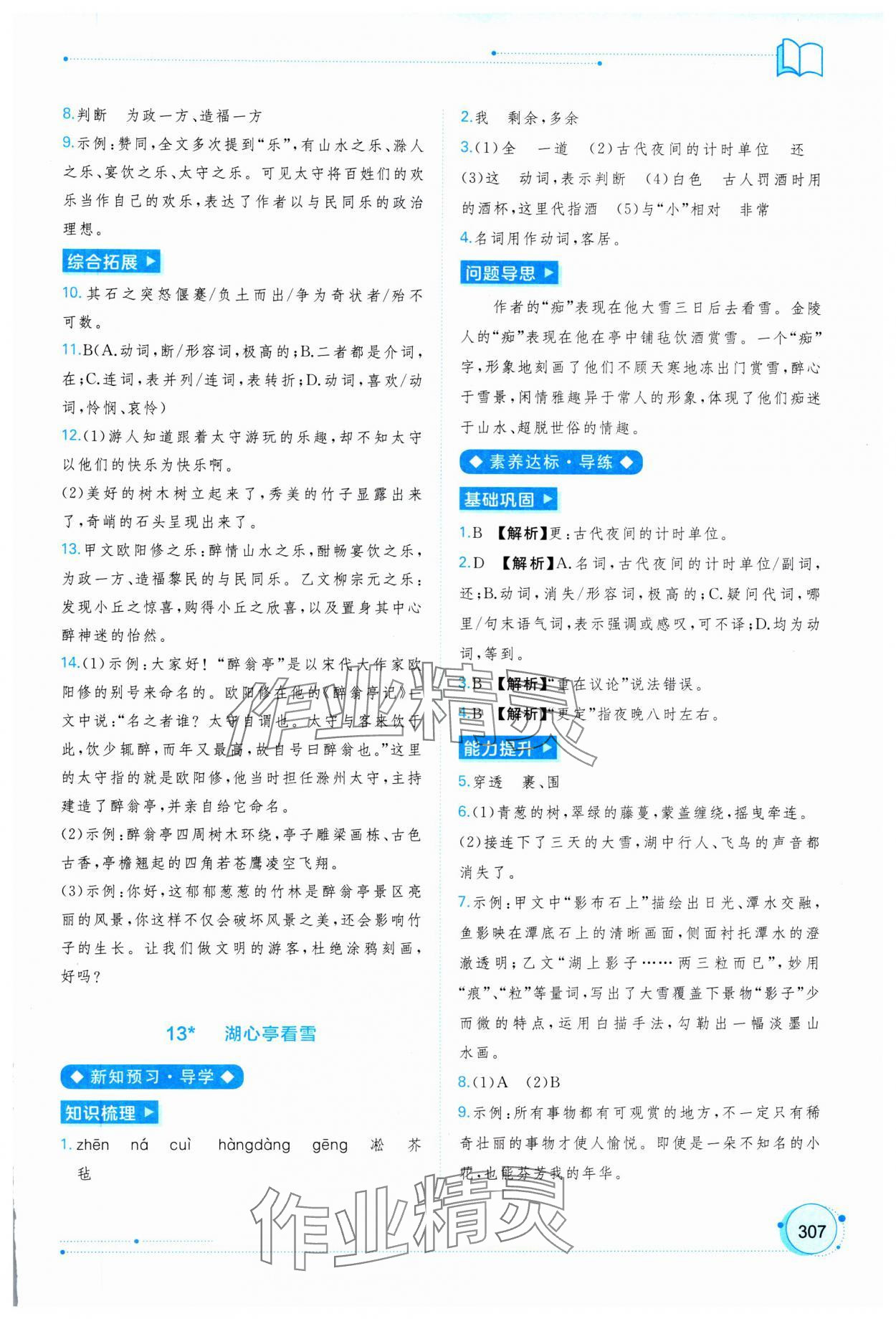 2025年新课程学习与测评同步学习九年级语文全一册人教版 第11页