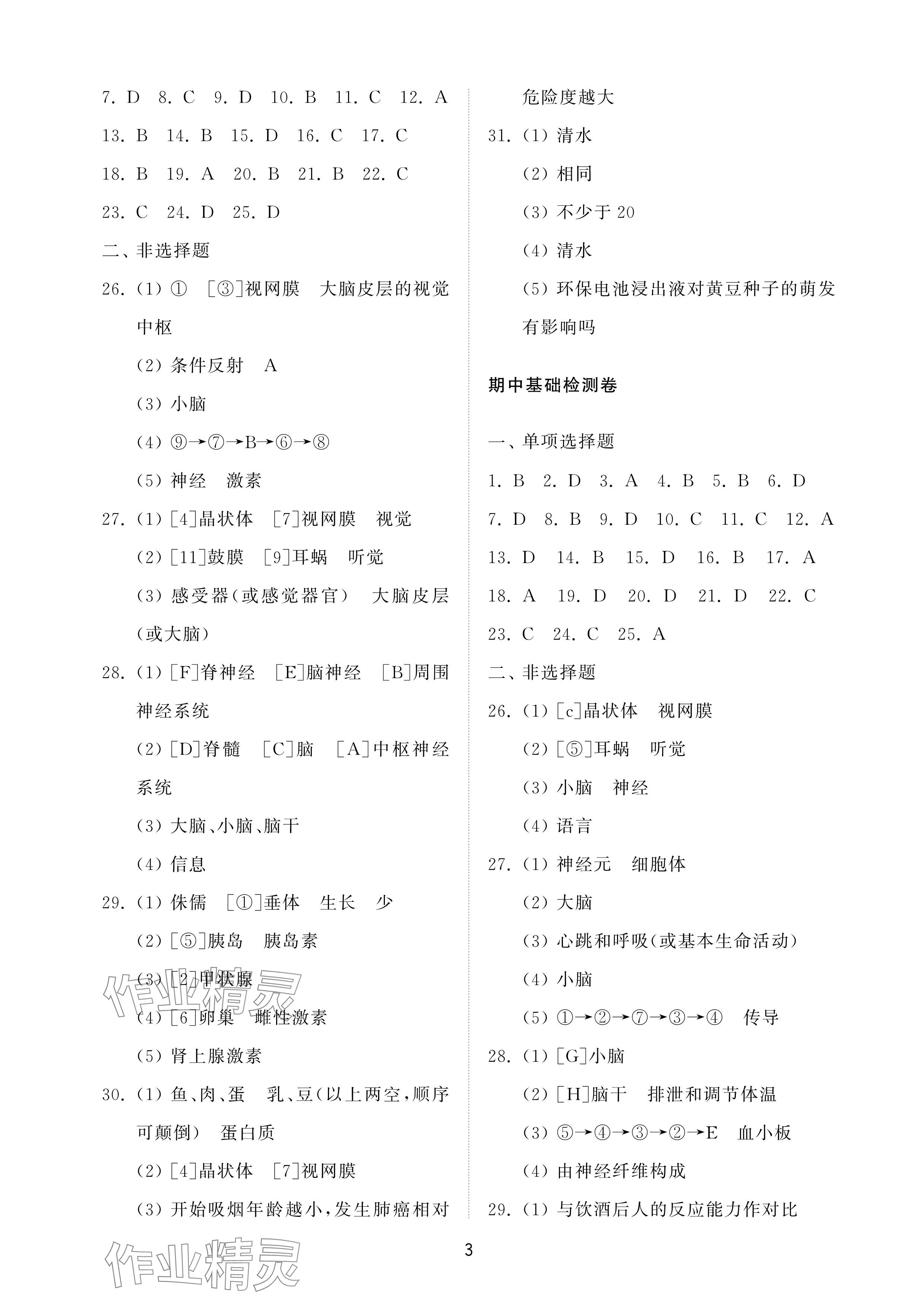 2025年同步練習冊配套檢測卷七年級生物下冊魯科版煙臺專版54制 參考答案第3頁
