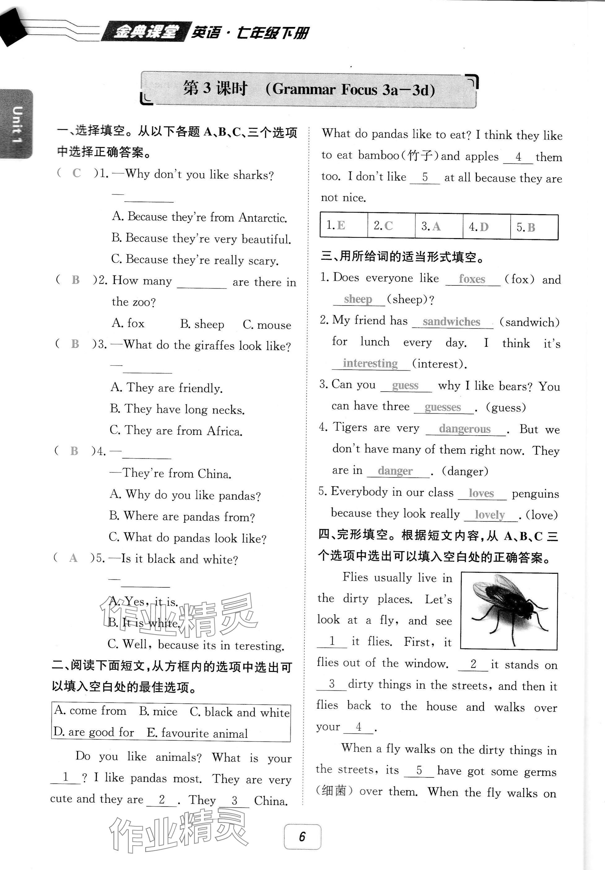 2025年名校金典課堂七年級英語下冊人教版成都專版 參考答案第6頁