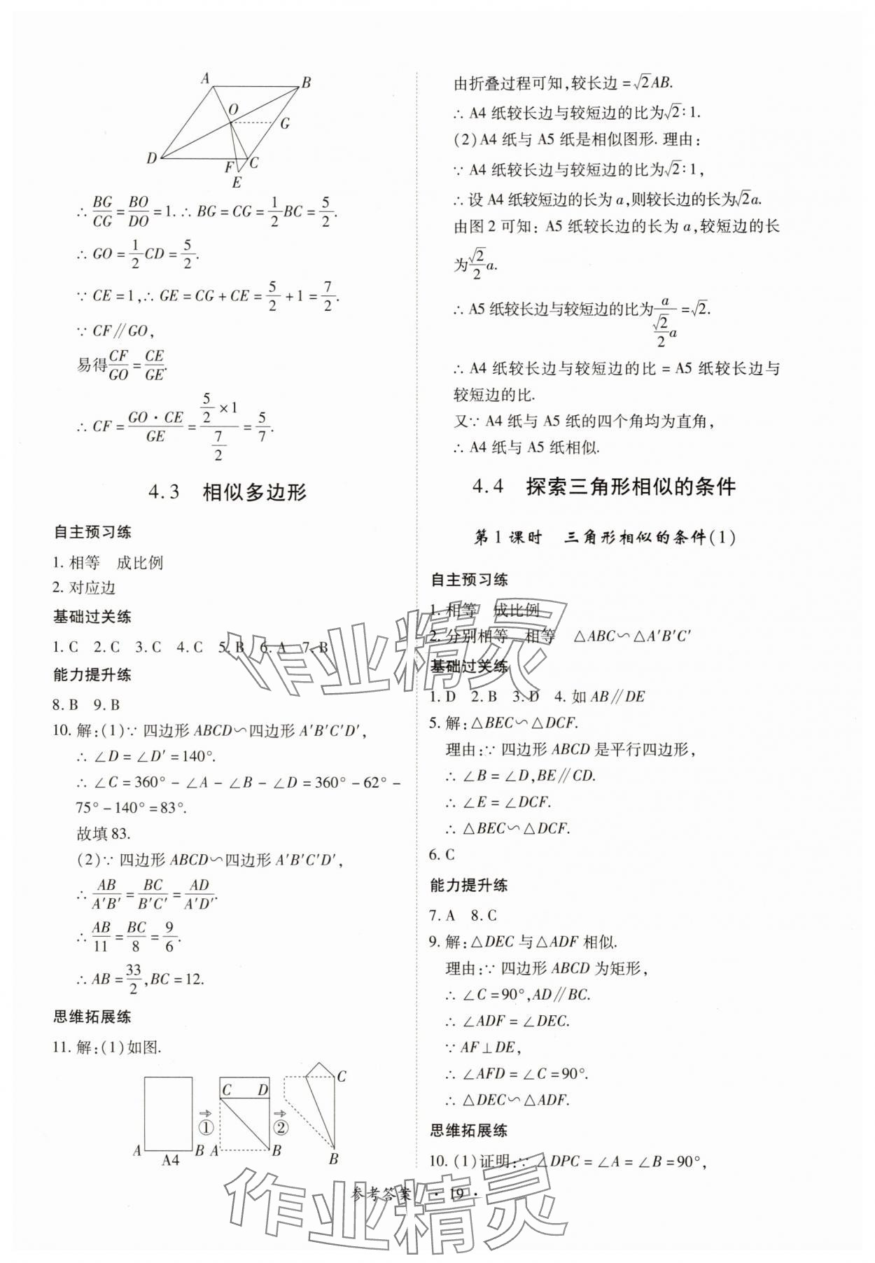 2025年一課一練創新練習九年級數學全一冊北師大版 第19頁