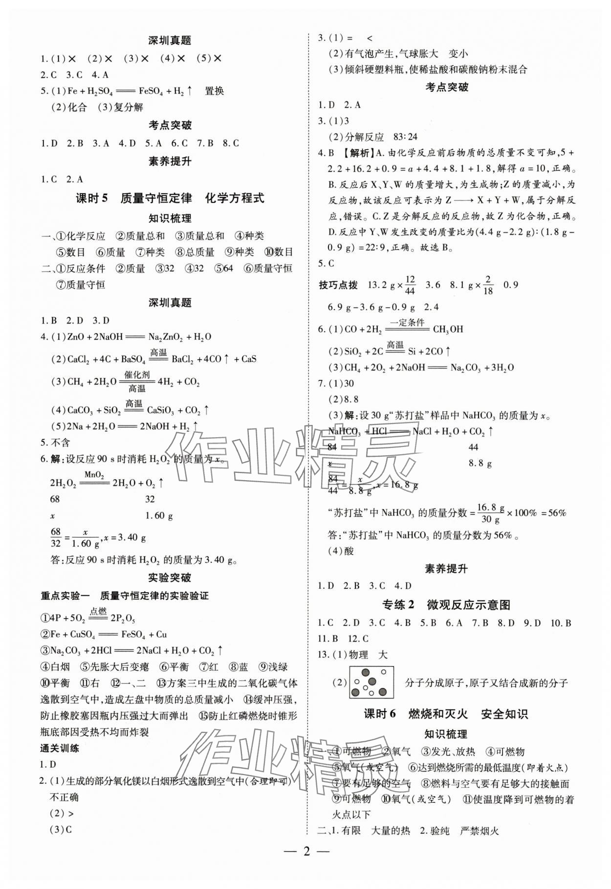 2024年領(lǐng)跑中考化學(xué)深圳專(zhuān)版 第2頁(yè)