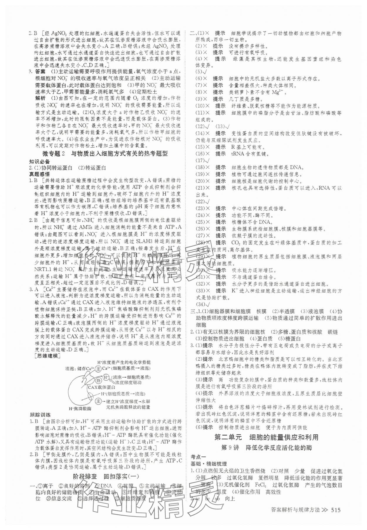 2025年創(chuàng)新設(shè)計(jì)高考總復(fù)習(xí)生物 參考答案第11頁(yè)