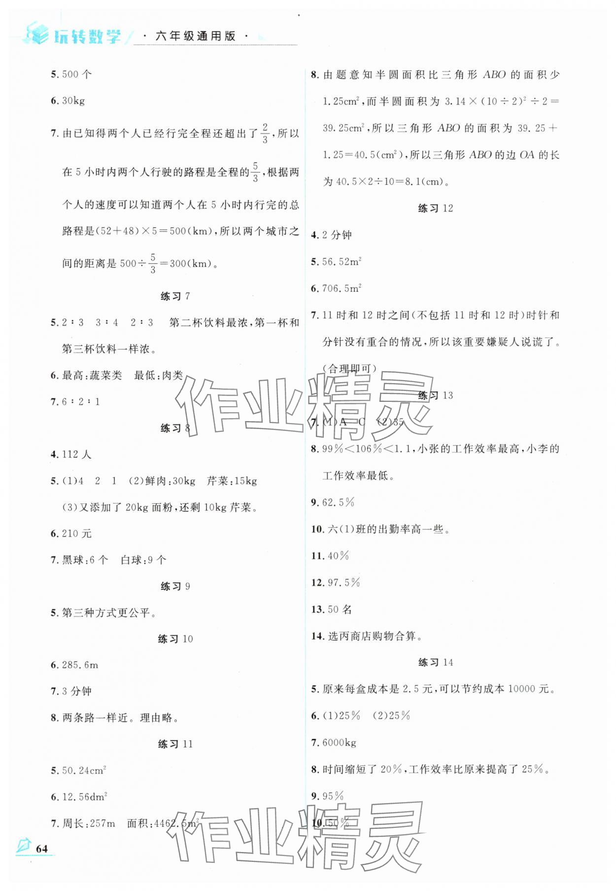 2025年名师讲坛智趣冬令营六年级数学通用版 第2页