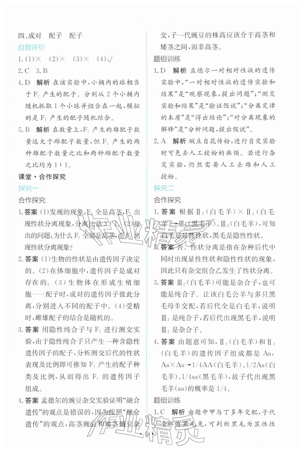 2026年能力培养与测试高中生物必修2(已禁用勿选)人教版&nbsp;参考答案第2页