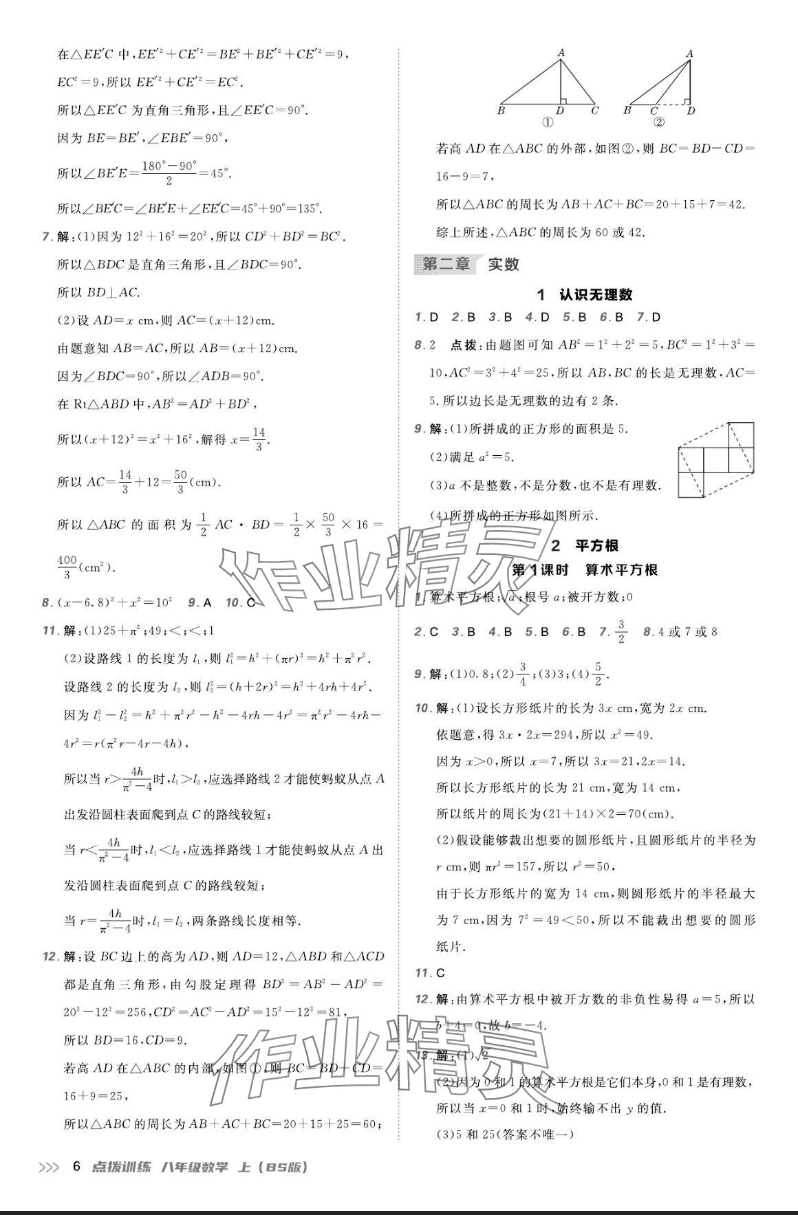 2024年点拨训练八年级数学上册北师大版 参考答案第5页