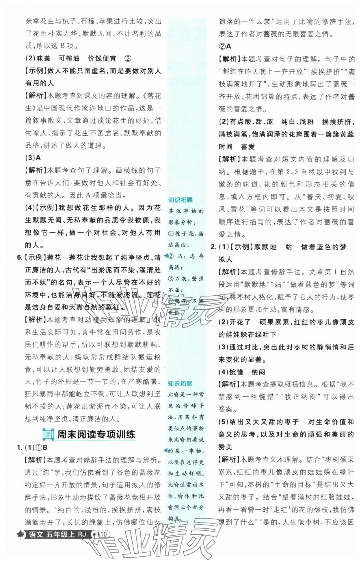 2025年小學(xué)必刷題五年級(jí)語(yǔ)文上冊(cè)人教版 參考答案第2頁(yè)