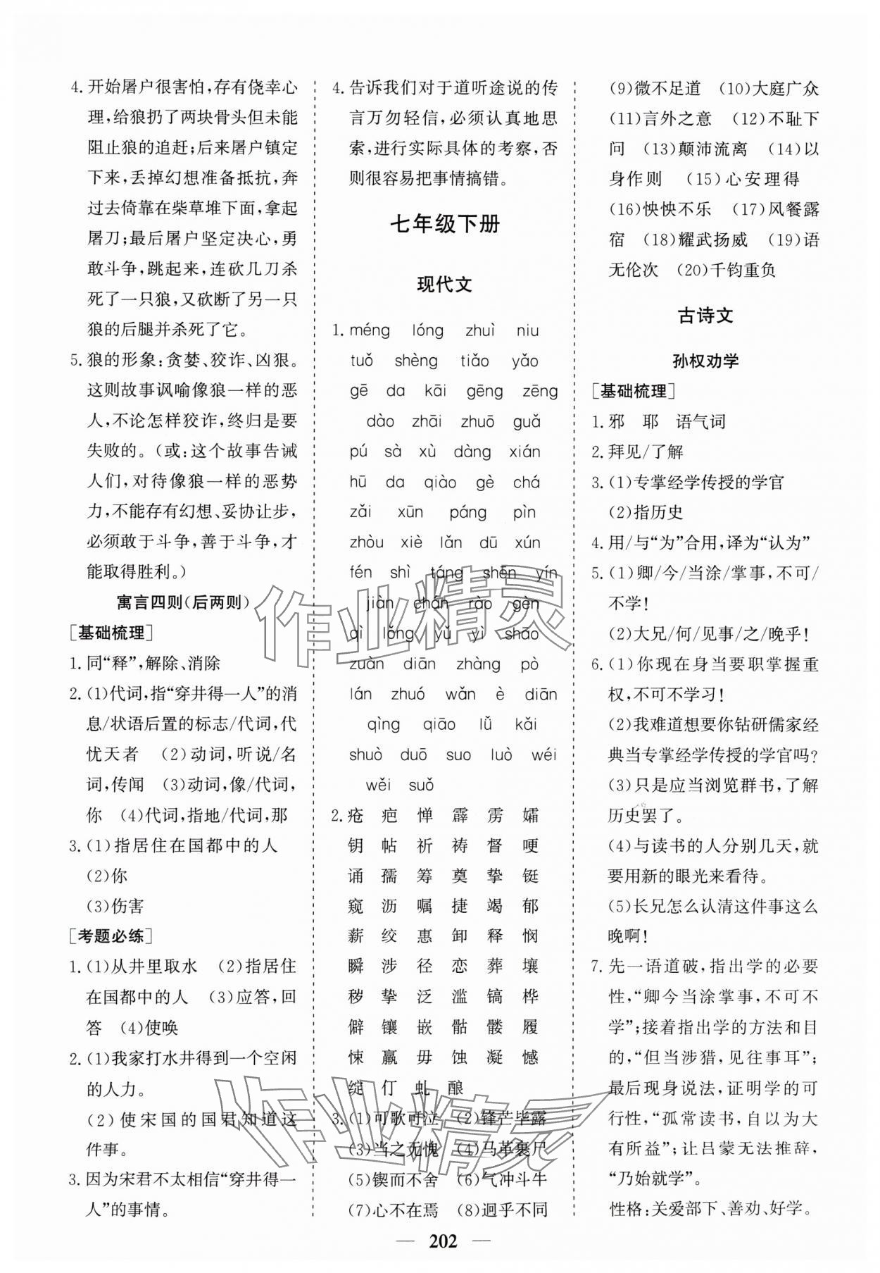 2024年點金考案語文 第4頁