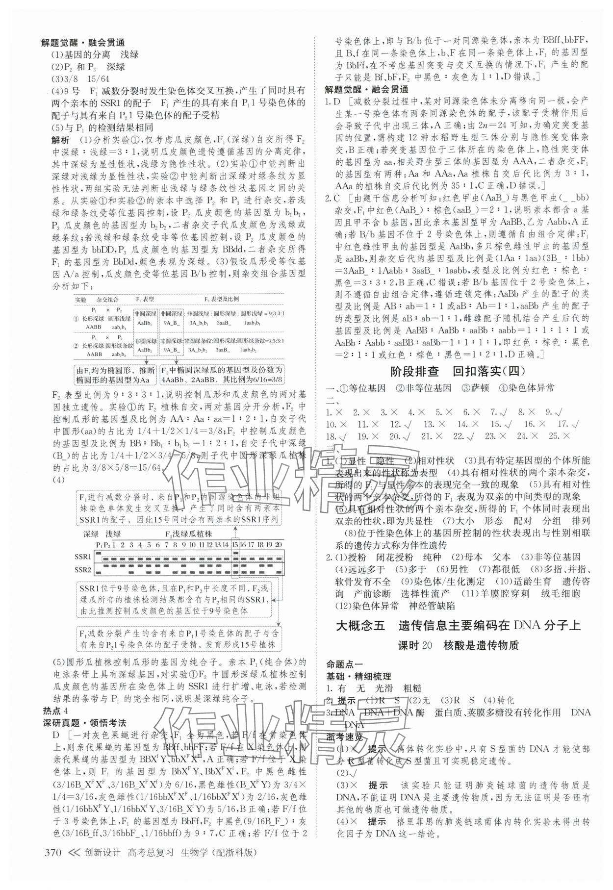 2025年创新设计高考总复生物浙科版 参考答案第26页