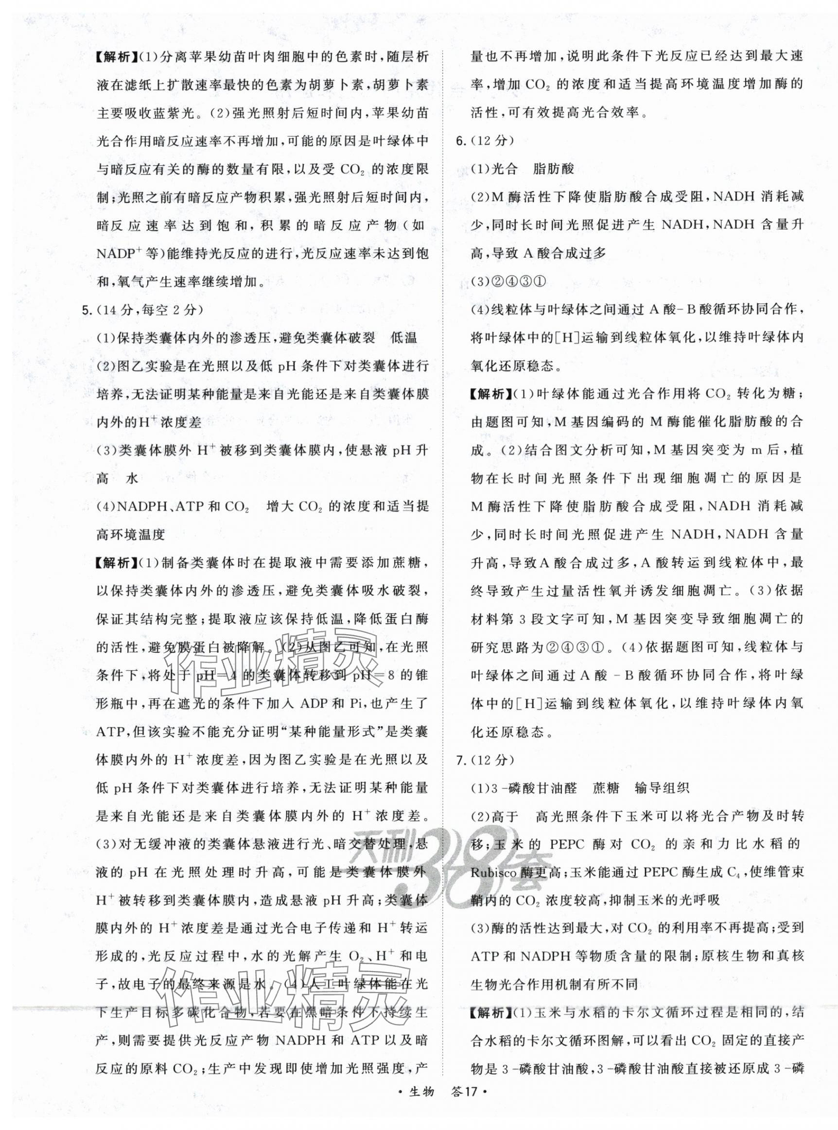 2025年五年高考真題分類高中生物 第19頁