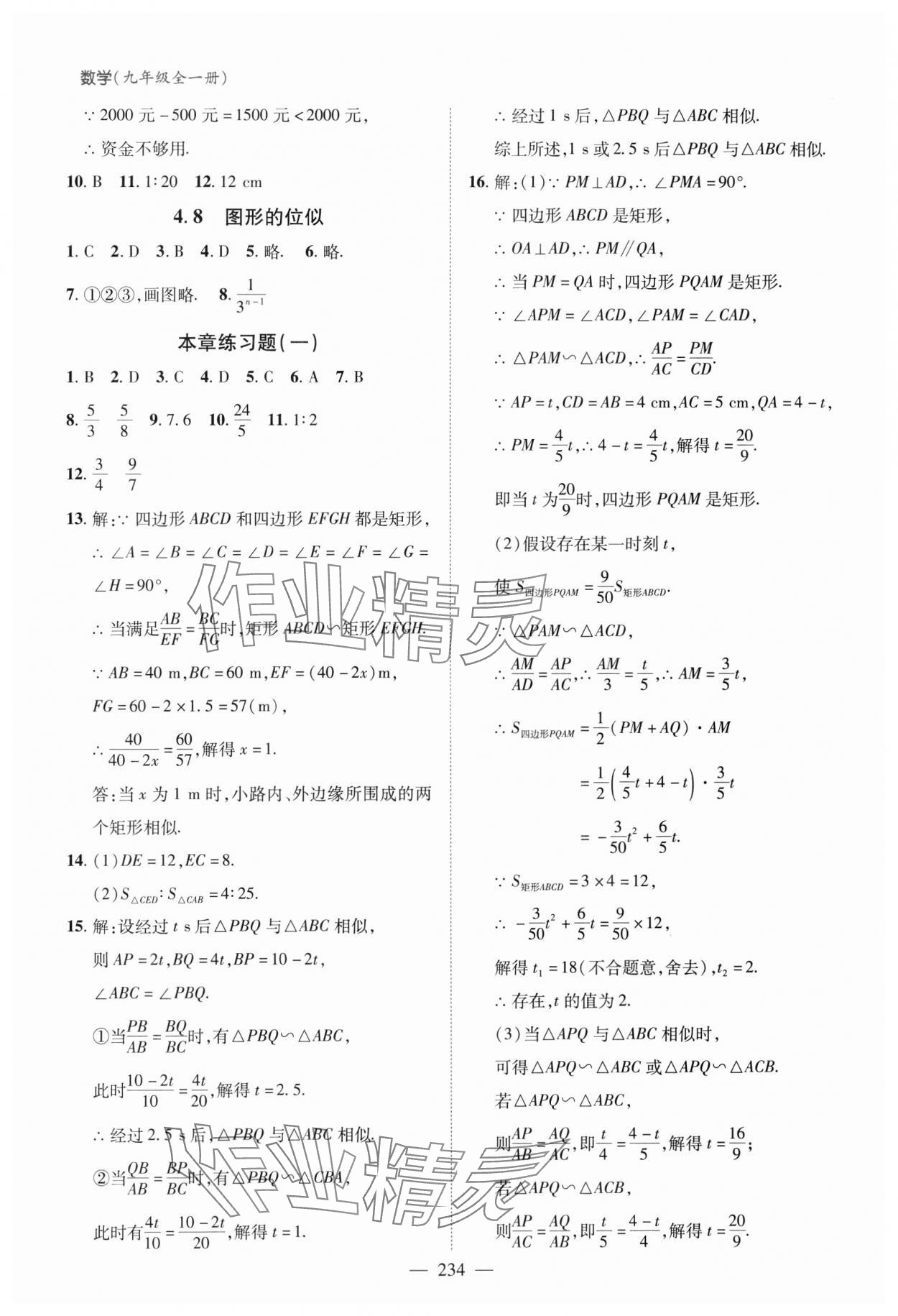 2023年新課堂學習與探究九年級數學全一冊北師大版 第14頁