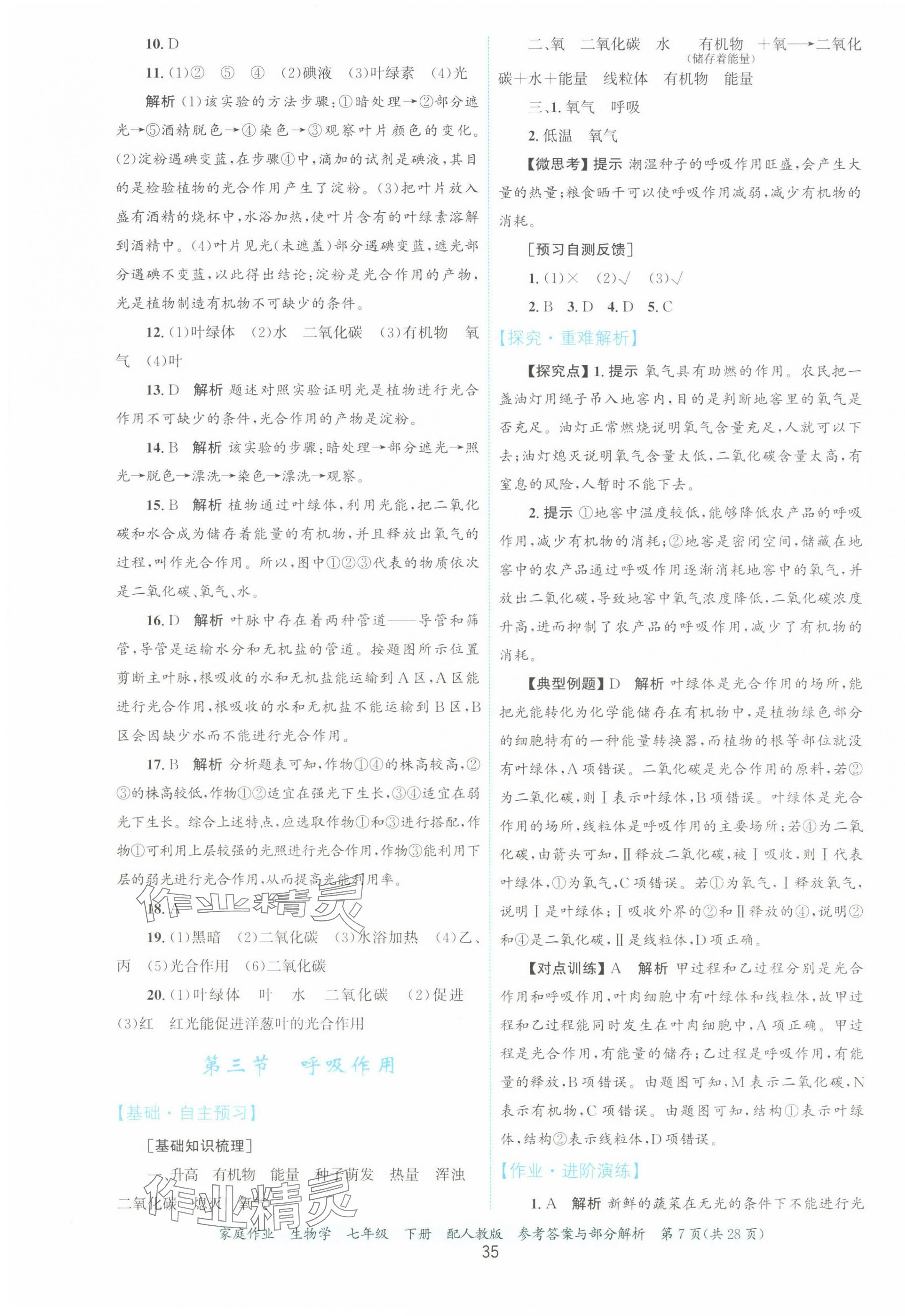 2025年家庭作业七年级生物下册人教版 第7页