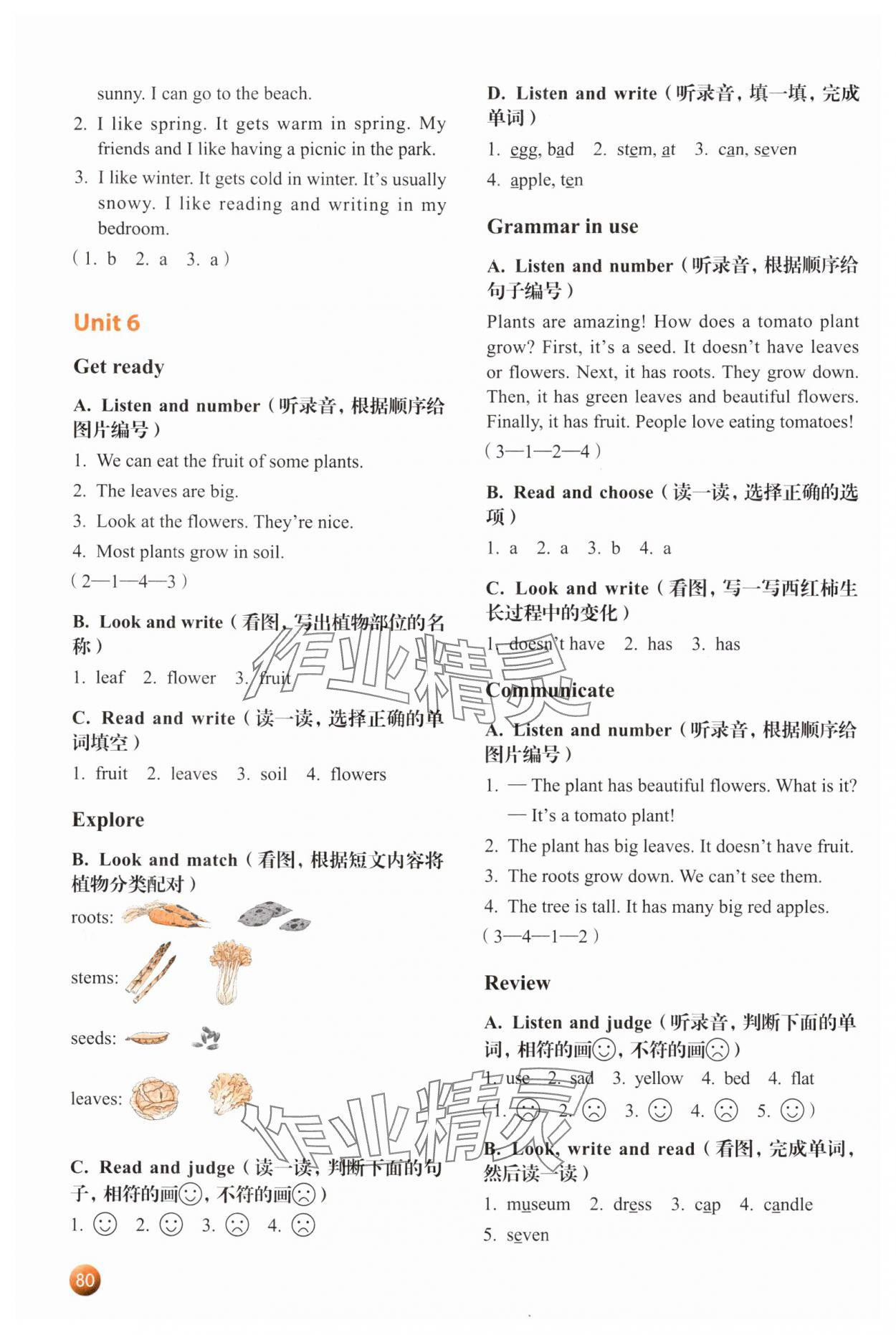2025年牛津英语活动练习手册四年级上册沪教版 参考答案第6页