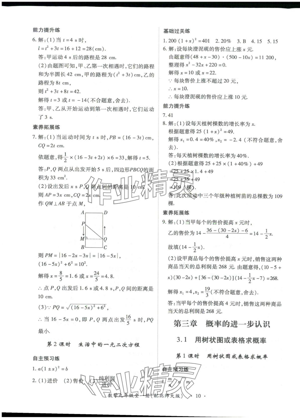 2025年新教材新评估九年级数学全一册北师大版&nbsp;第10页