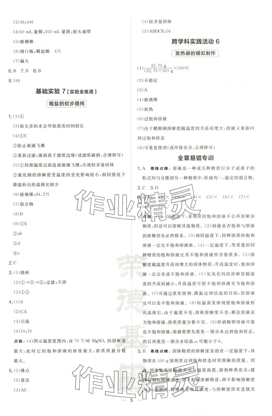 2025年点拨训练九年级化学下册沪教版 第5页