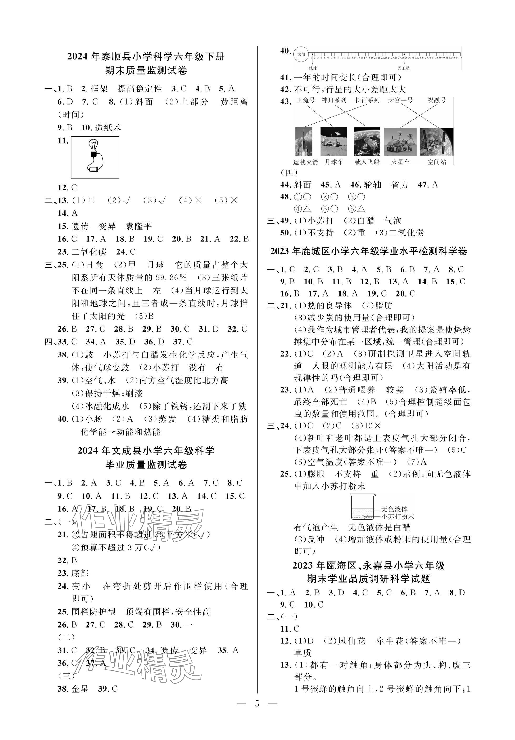 2025年小學畢業特訓卷科學溫州專版 參考答案第5頁