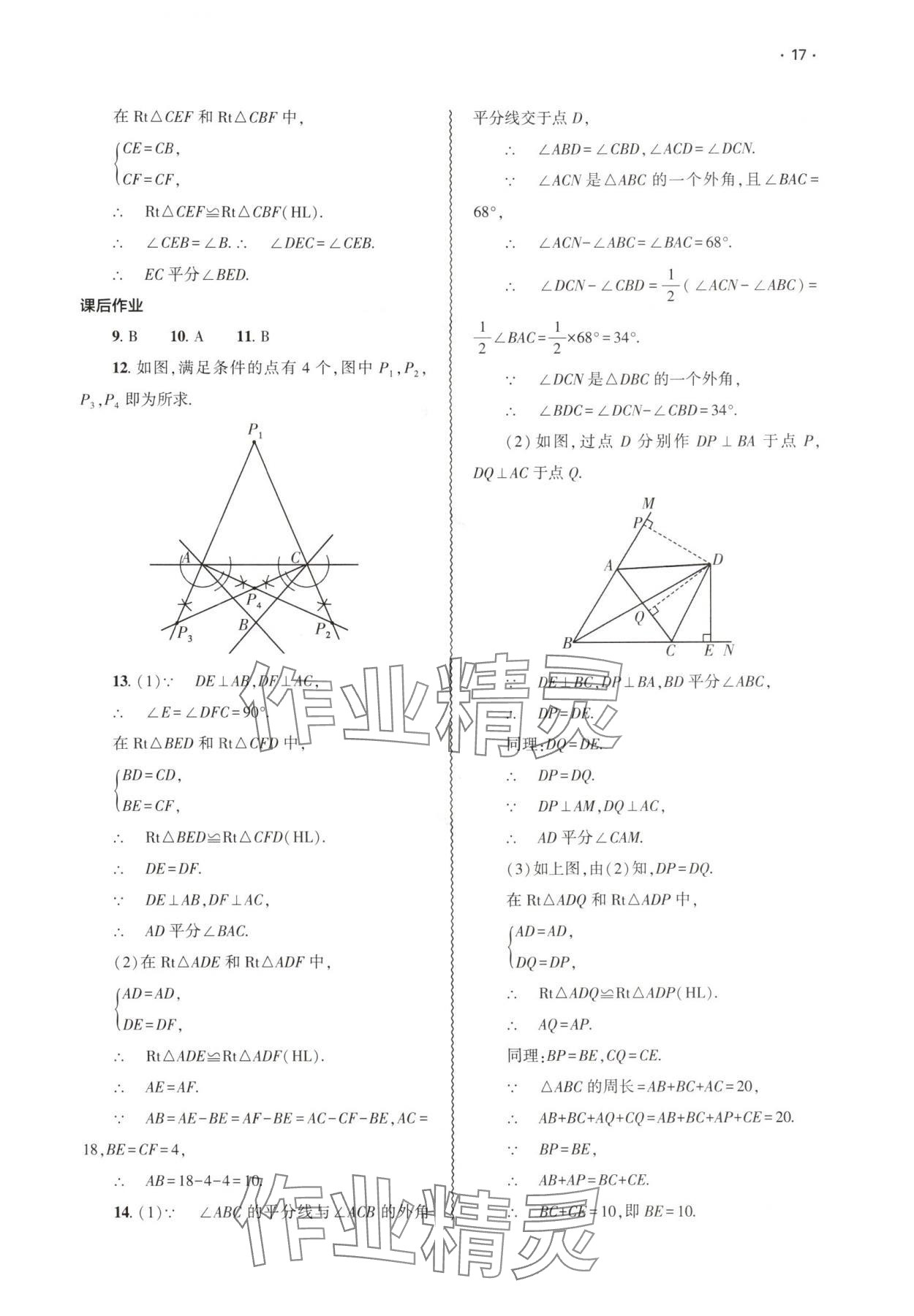 2025年基礎訓練大象出版社八年級數學上冊人教版 第17頁