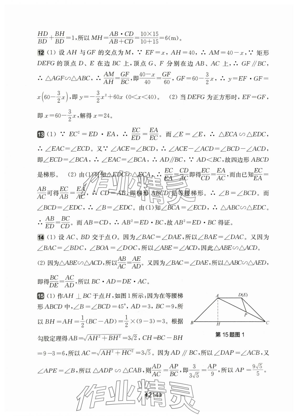 2024年華東師大版一課一練九年級(jí)數(shù)學(xué)全一冊(cè)滬教版54制 參考答案第10頁(yè)