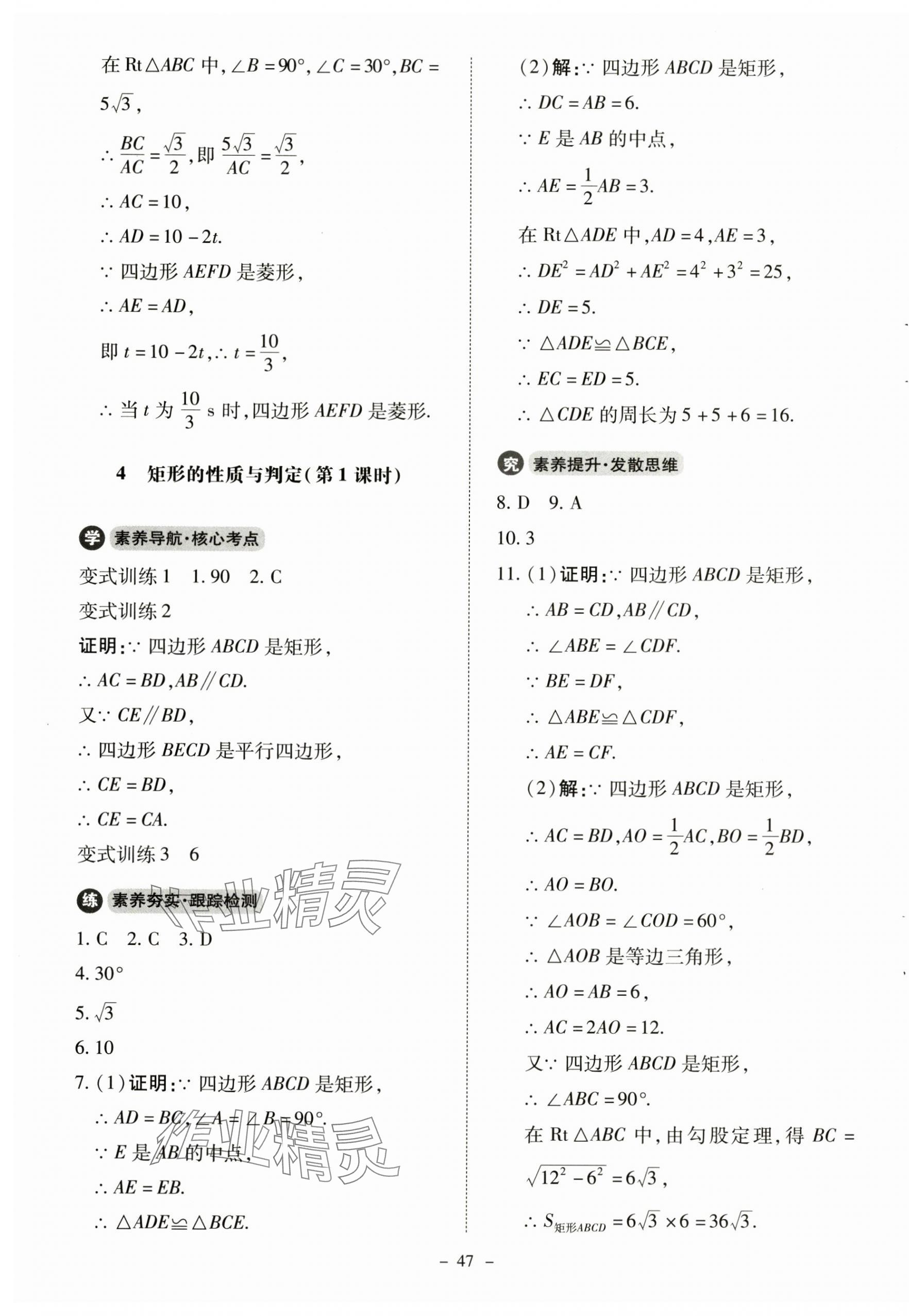 2024年初中同步练习册九年级数学上册北师大版北京师范大学出版社 第3页