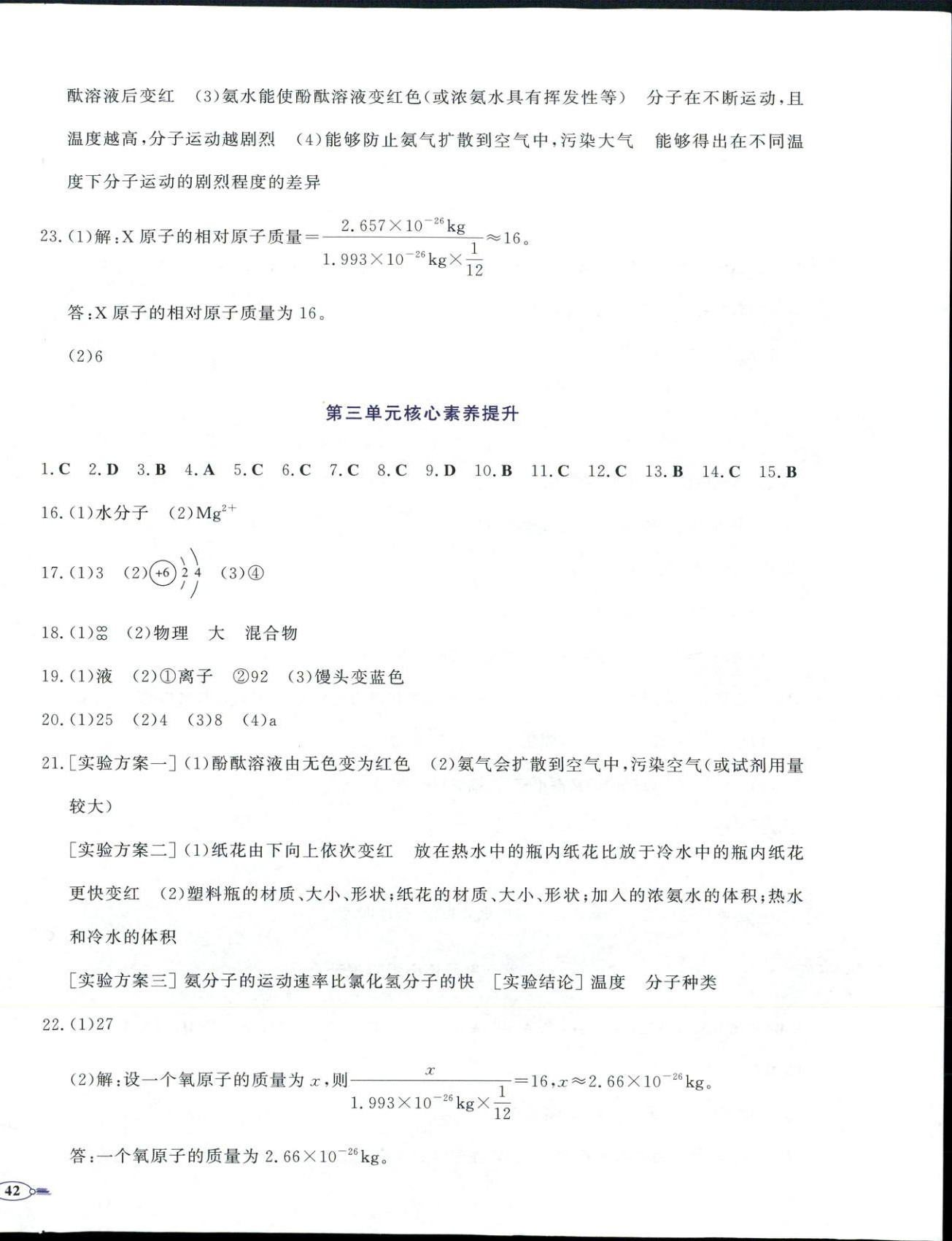 2025年同步优学核心素养评价九年级化学上册人教版&nbsp;第4页