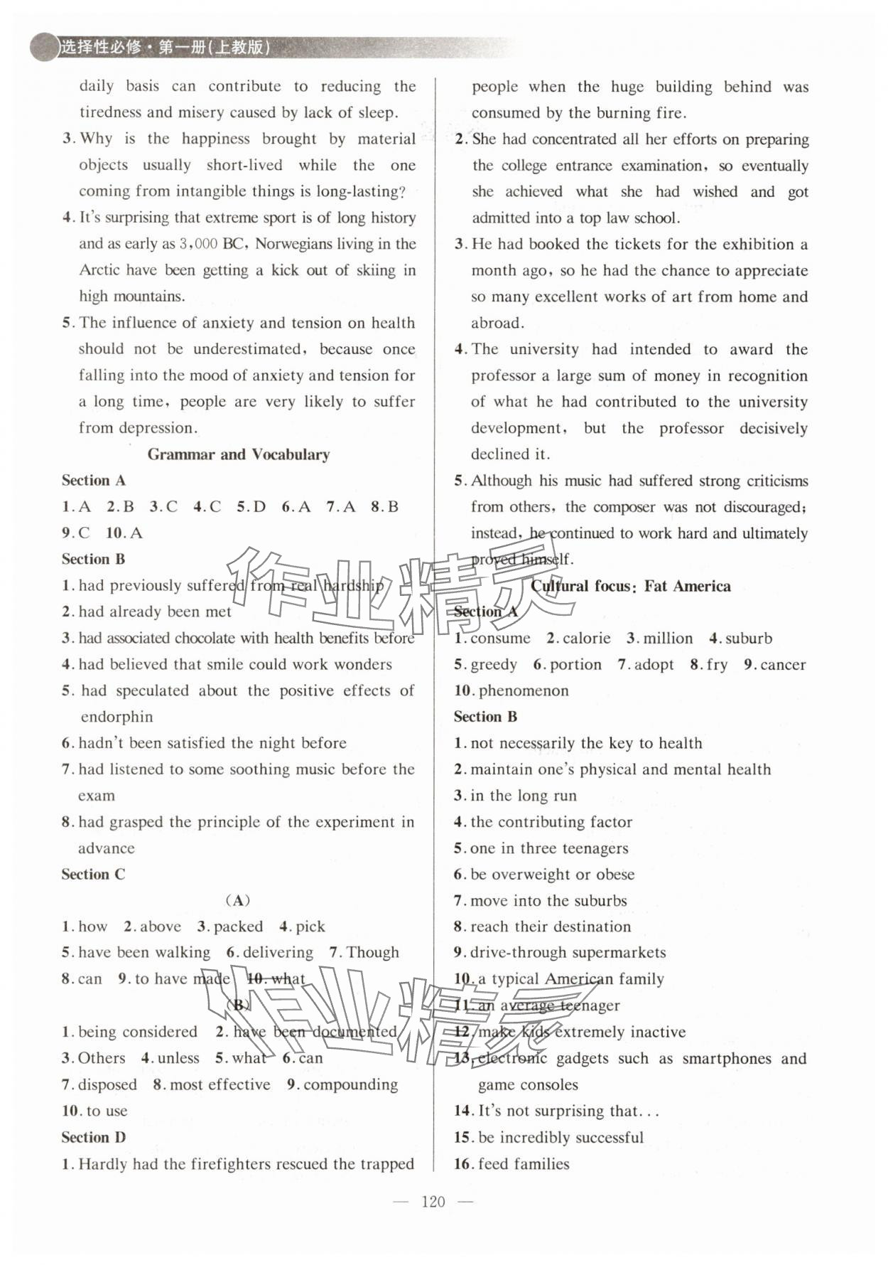 2025年高中英语同步课时练高中选择性必修第一册沪教版 参考答案第2页