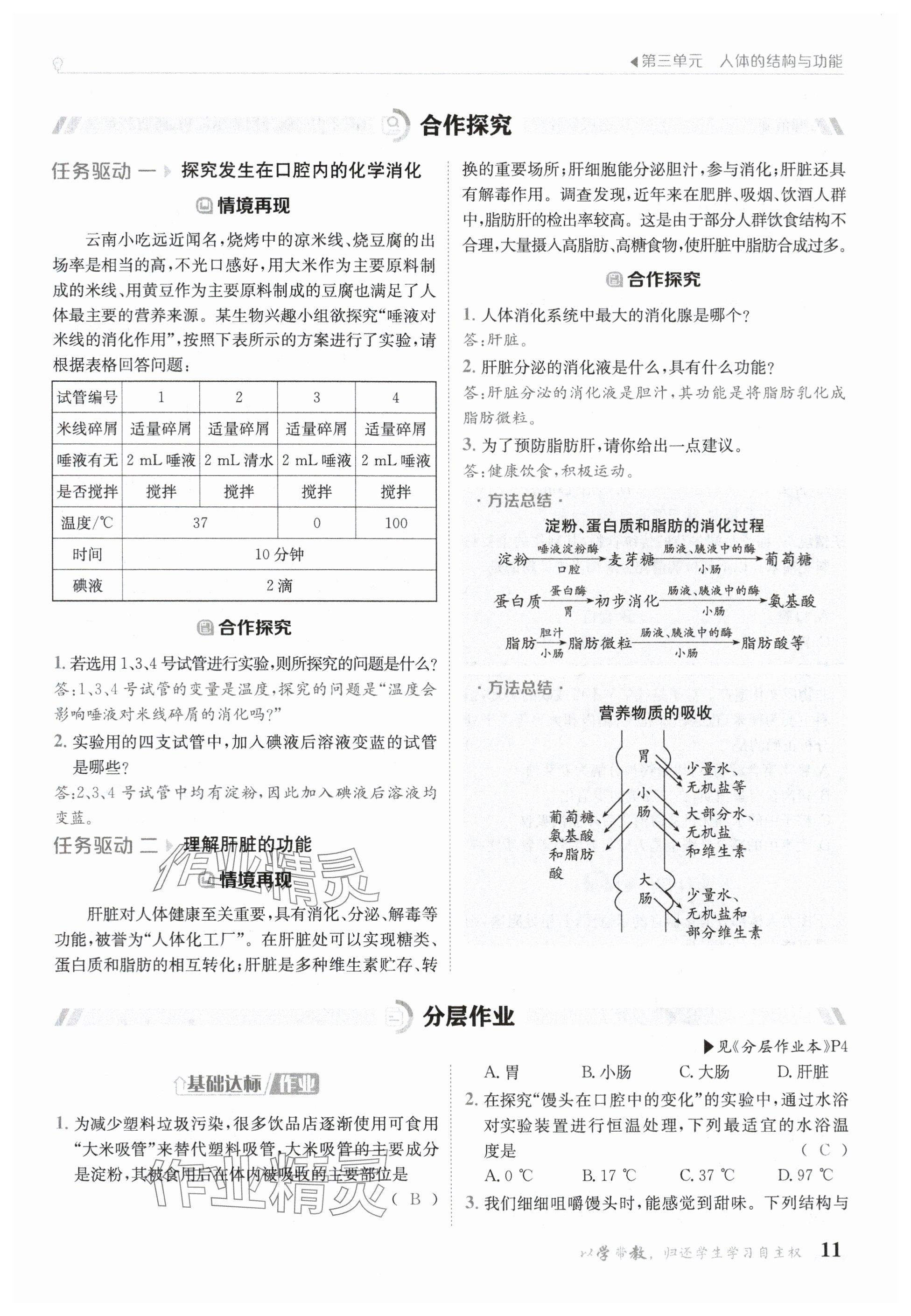 2025年金太陽導學案七年級生物下冊冀少版 參考答案第11頁