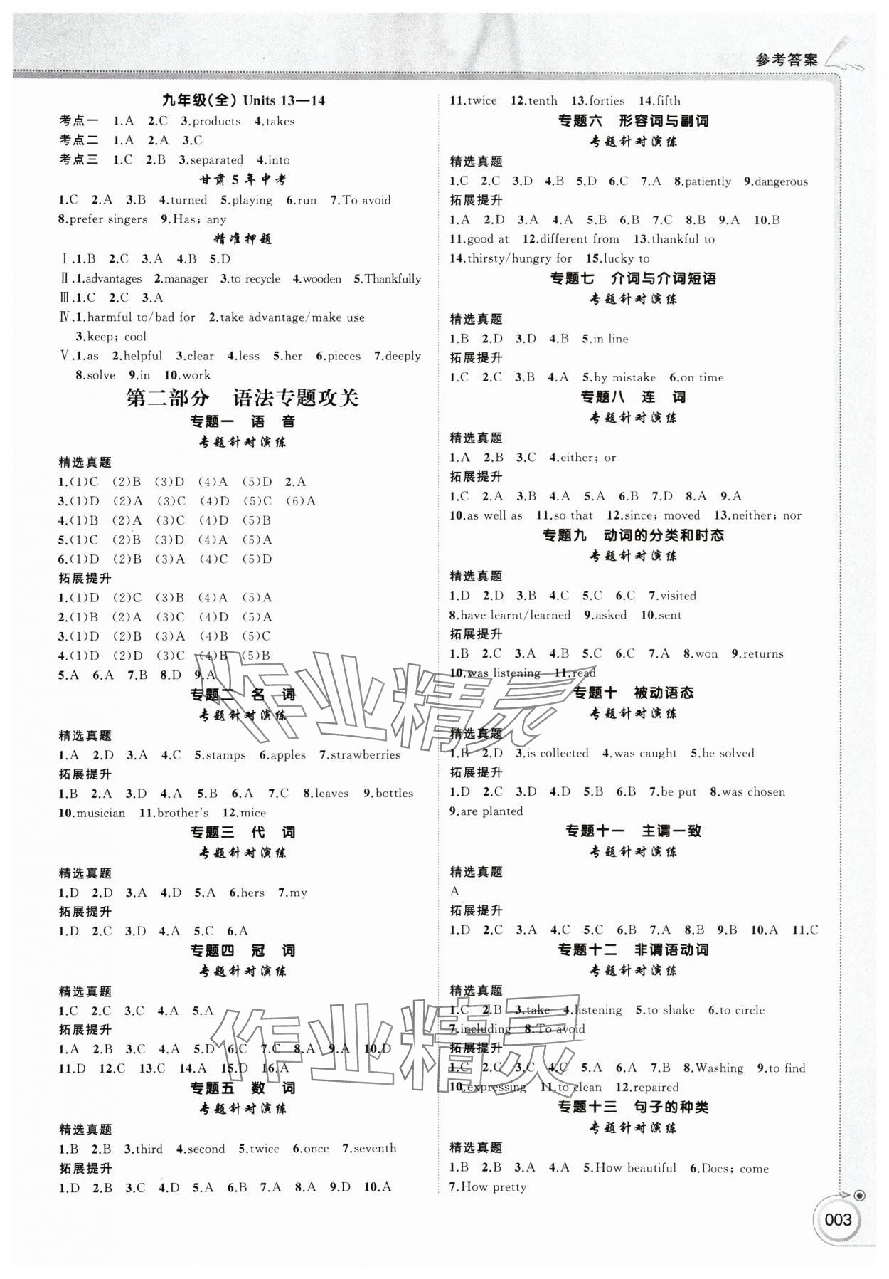 2025年首席中考英语甘肃专版&nbsp;第3页