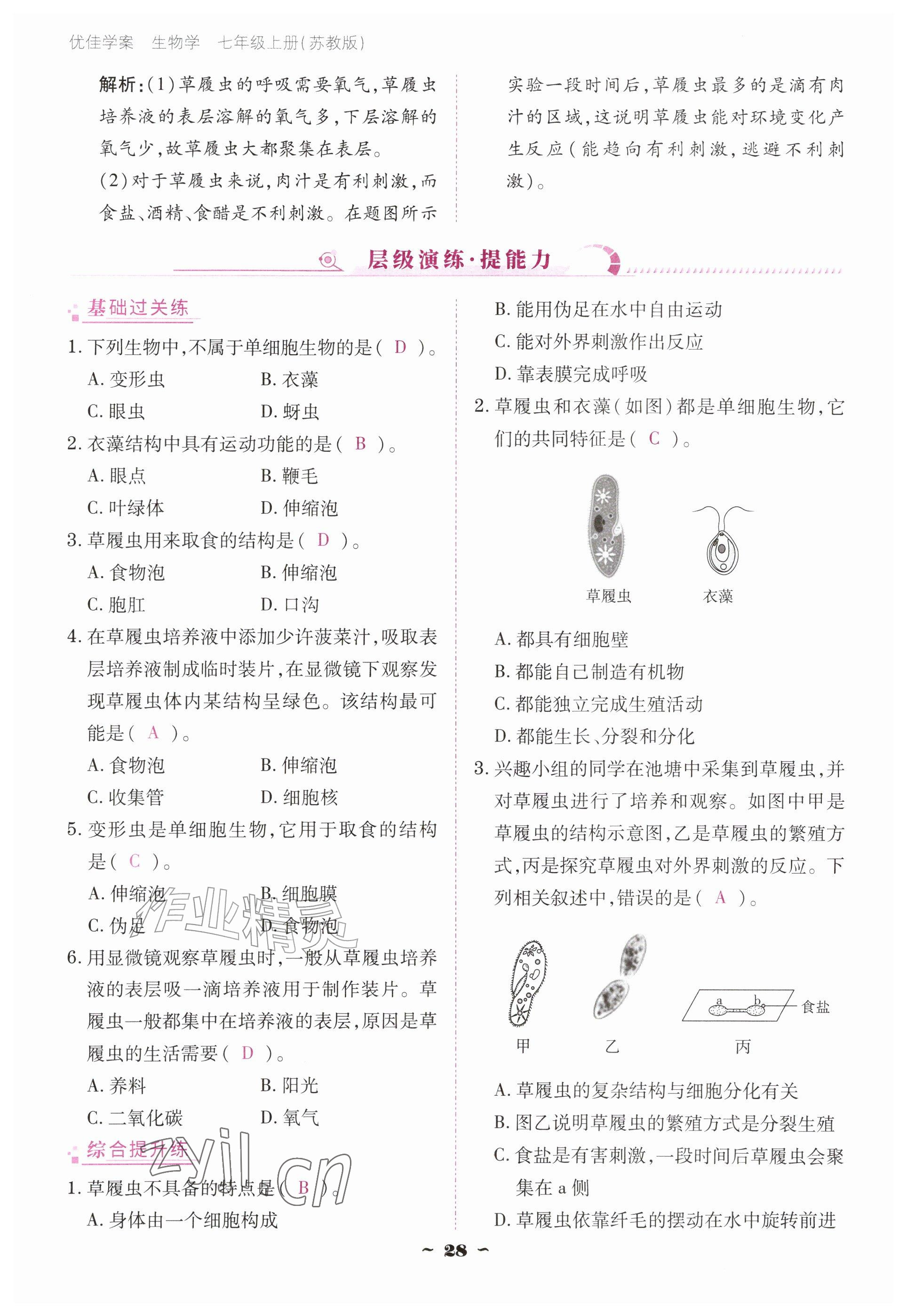 2026年云南省标准教辅优佳学案七年级历史上册人教版&nbsp;参考答案第28页