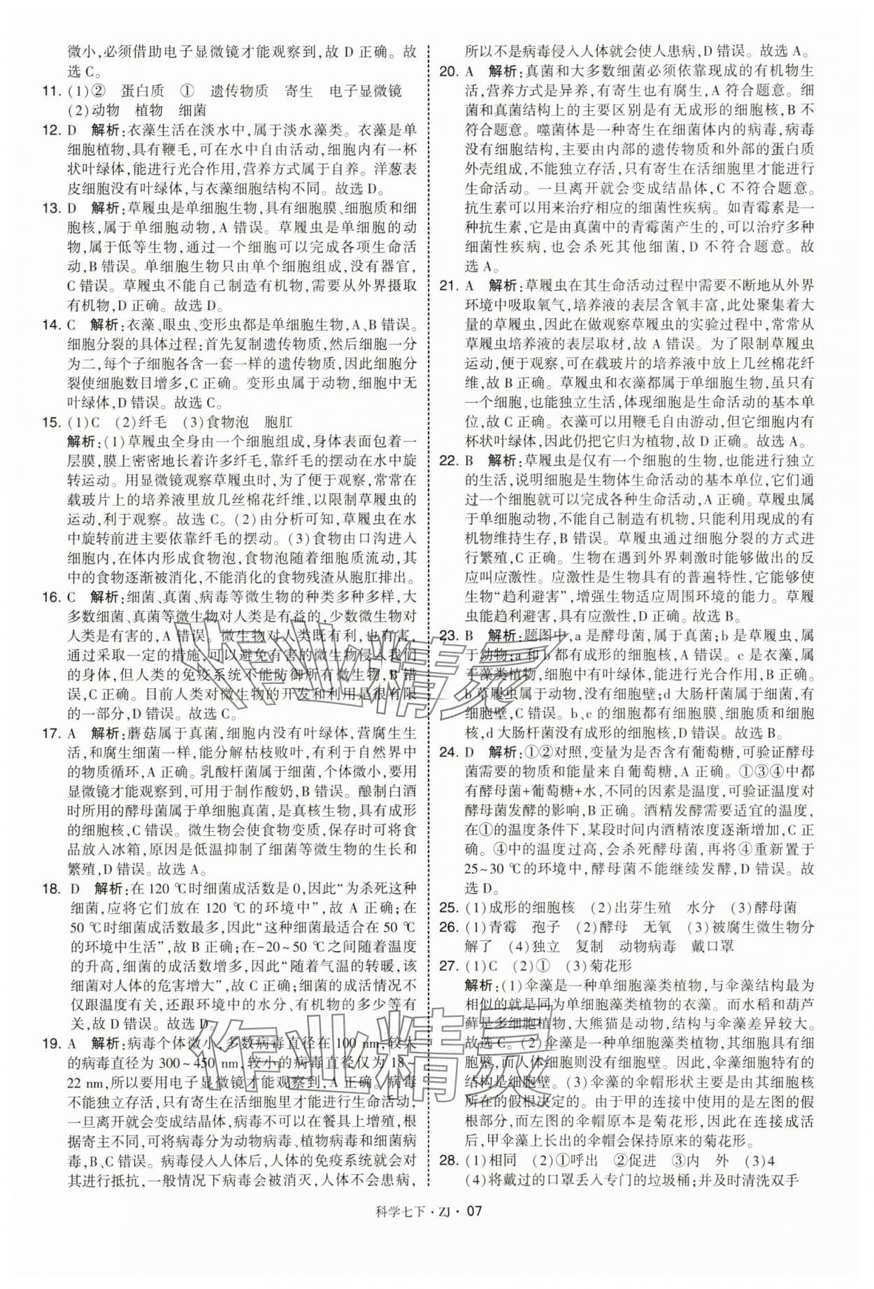 2025年學霸題中題七年級科學下冊浙教版 第7頁