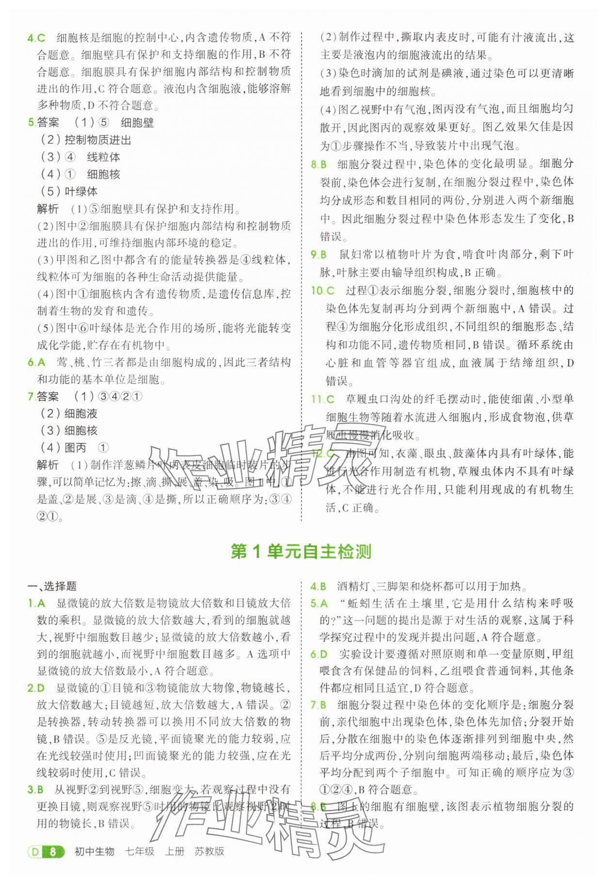 2025年5年中考3年模擬七年級生物上冊蘇教版 第8頁