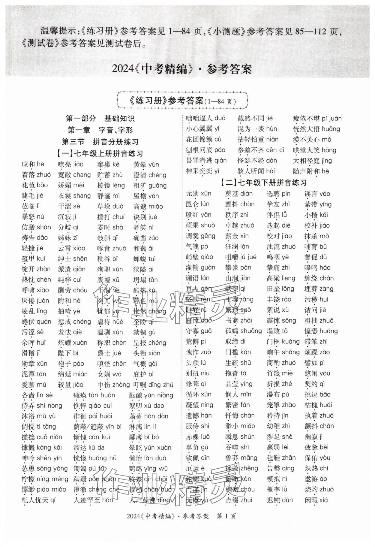 2024年中考精編語文廣東經濟出版社 第1頁