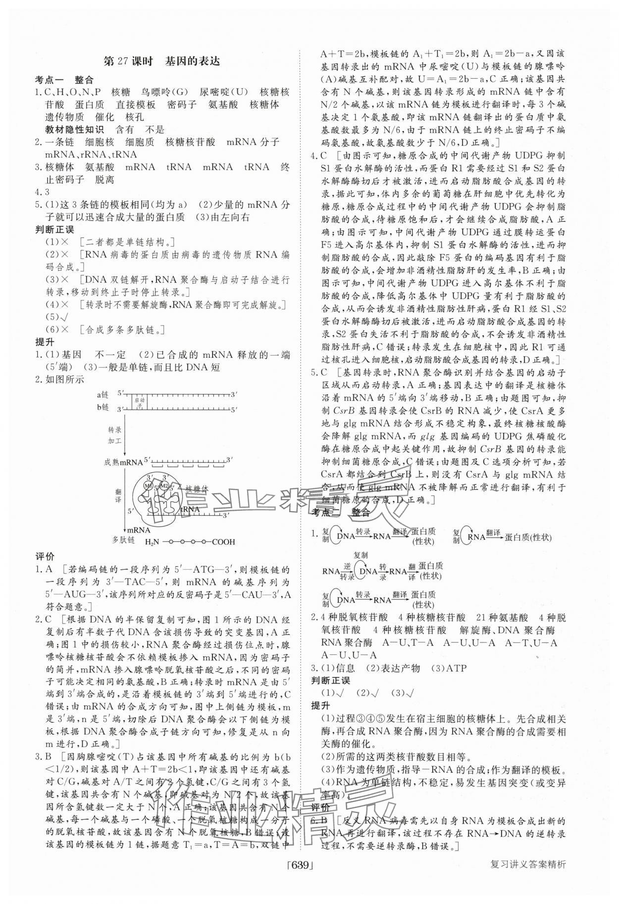 2025年步步高大一輪復習講義高中生物 第31頁
