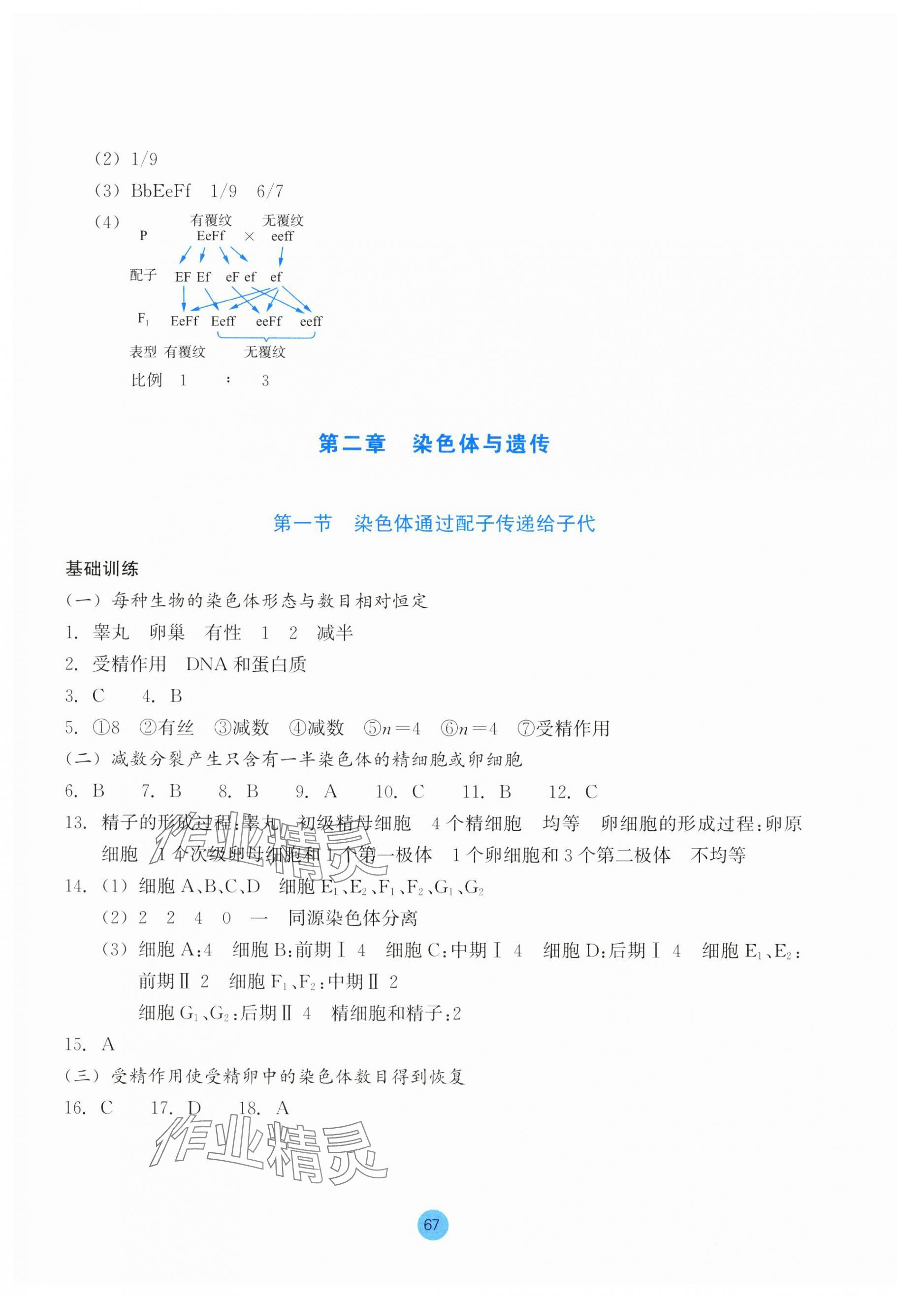 2024年作业本浙江教育出版社高中生物必修2浙科版 第3页