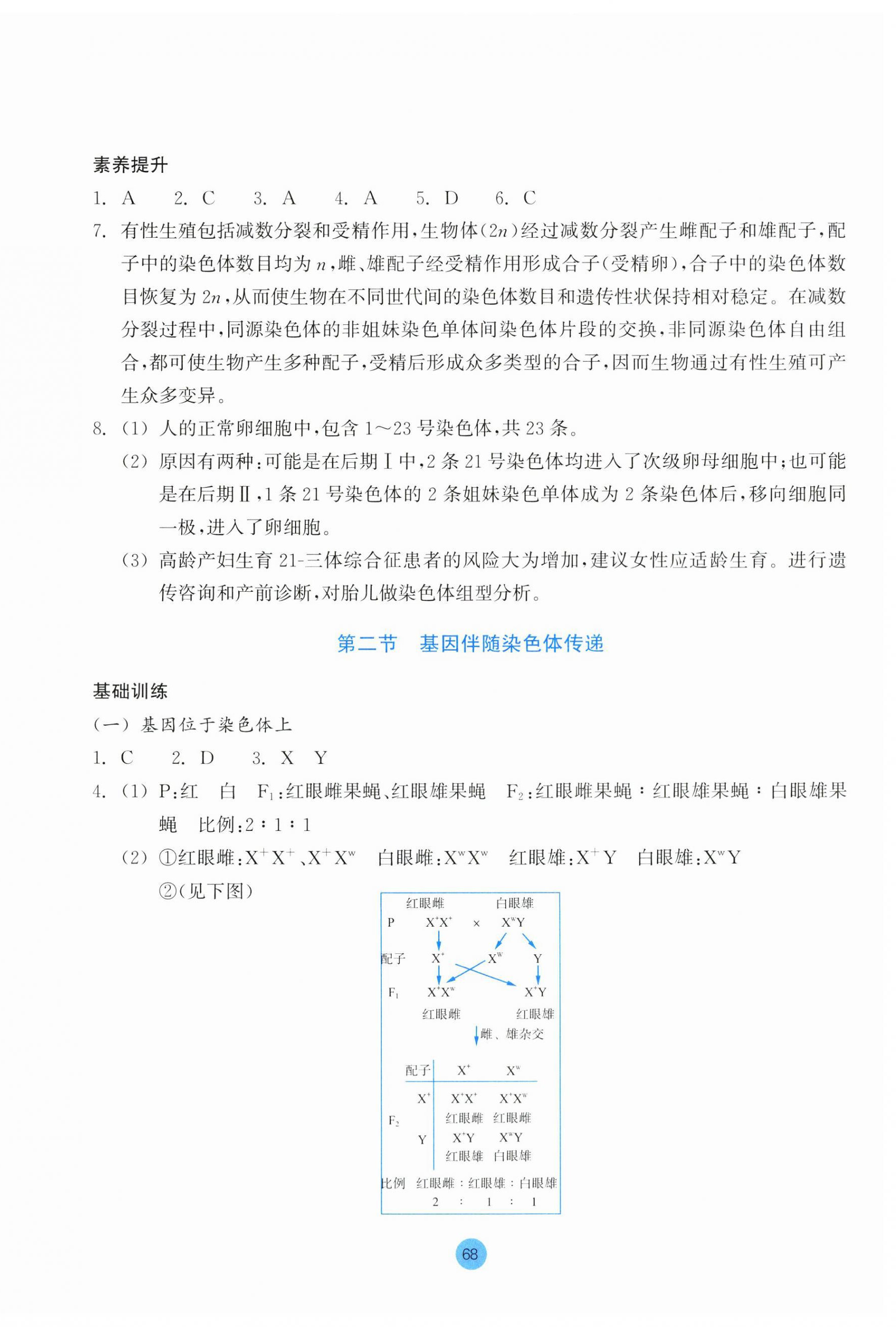 2024年作业本浙江教育出版社高中生物必修2浙科版 第4页