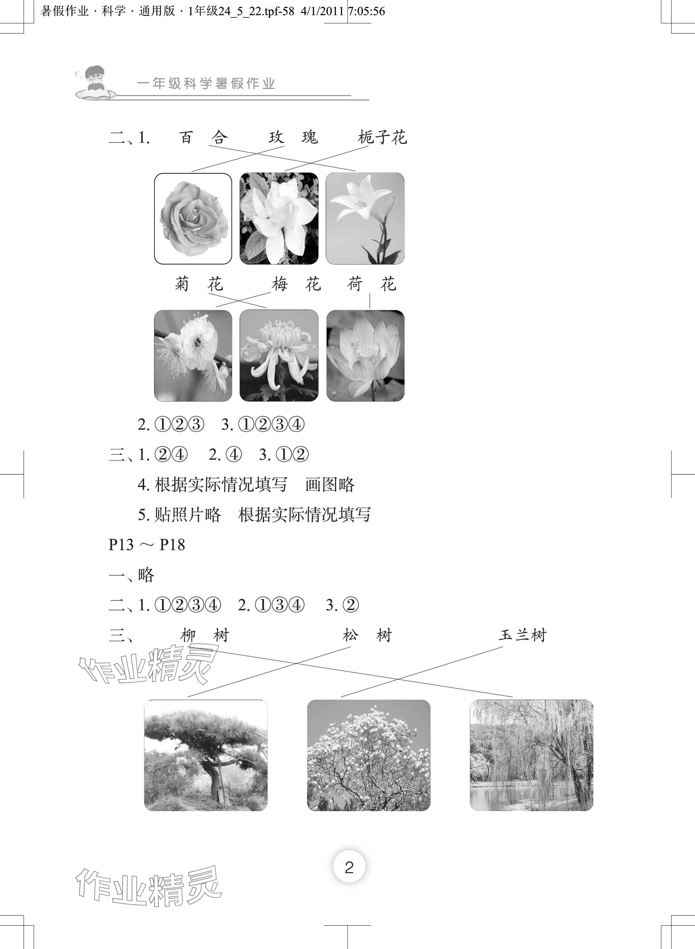 2024年暑假作业长江少年儿童出版社一年级科学 参考答案第2页