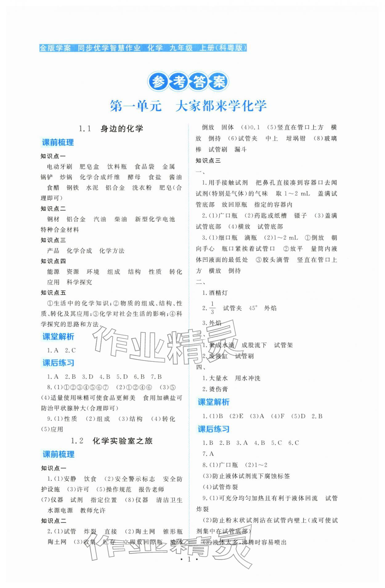 2025年金版学案同步优学智慧作业九年级化学上册科粤版 第1页
