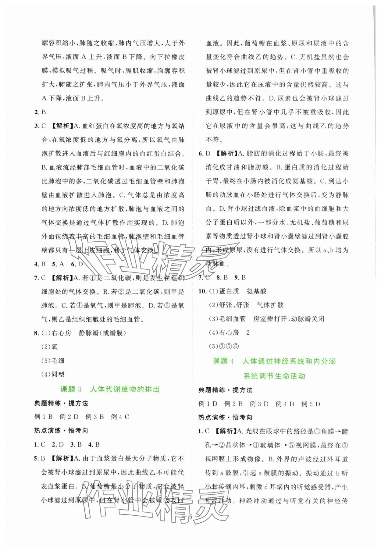 2025年芝麻開花學考方略八年級生物人教版 第6頁