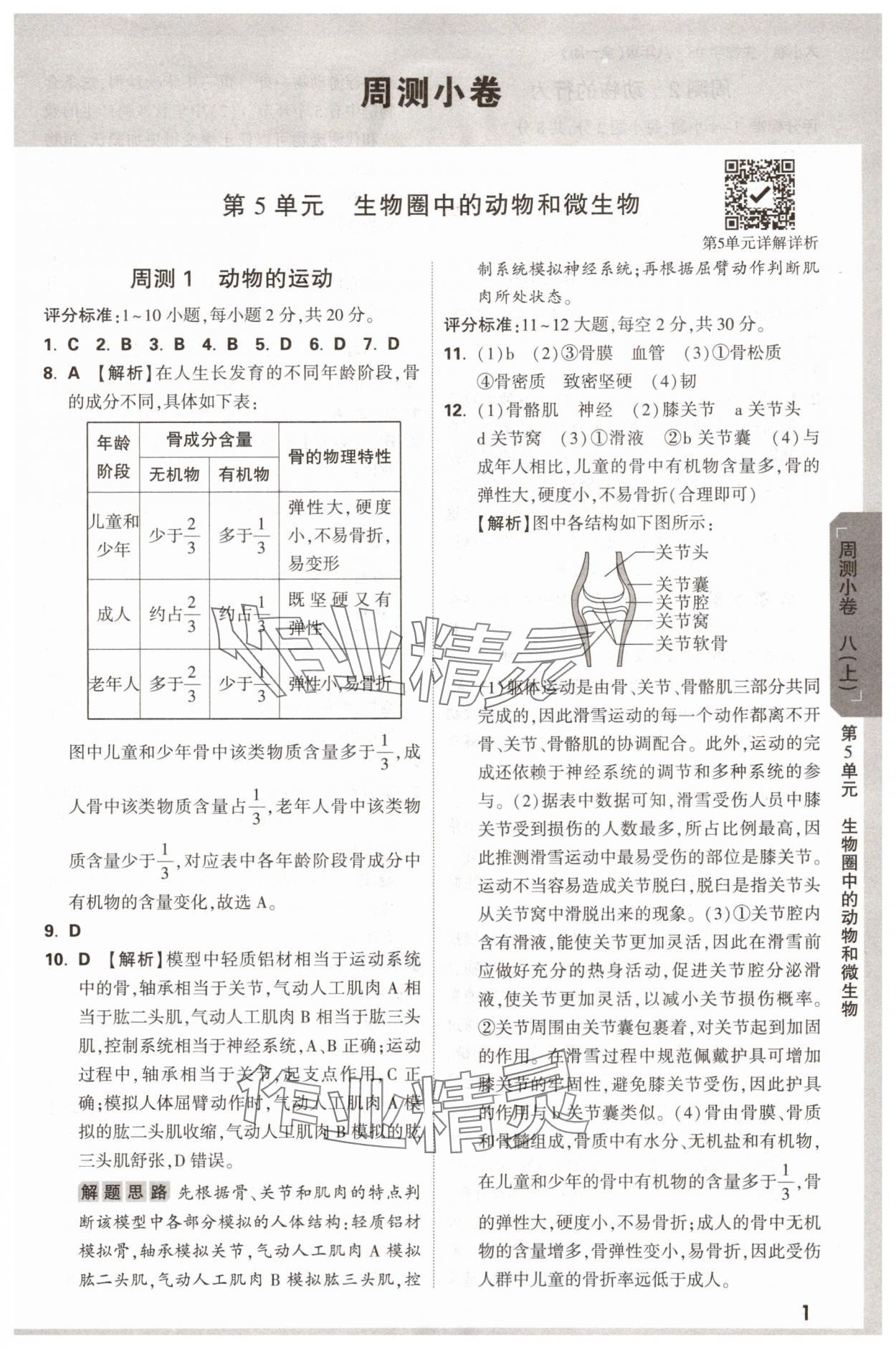 2025年萬唯中考大小卷八年級生物全一冊北師大版 參考答案第1頁