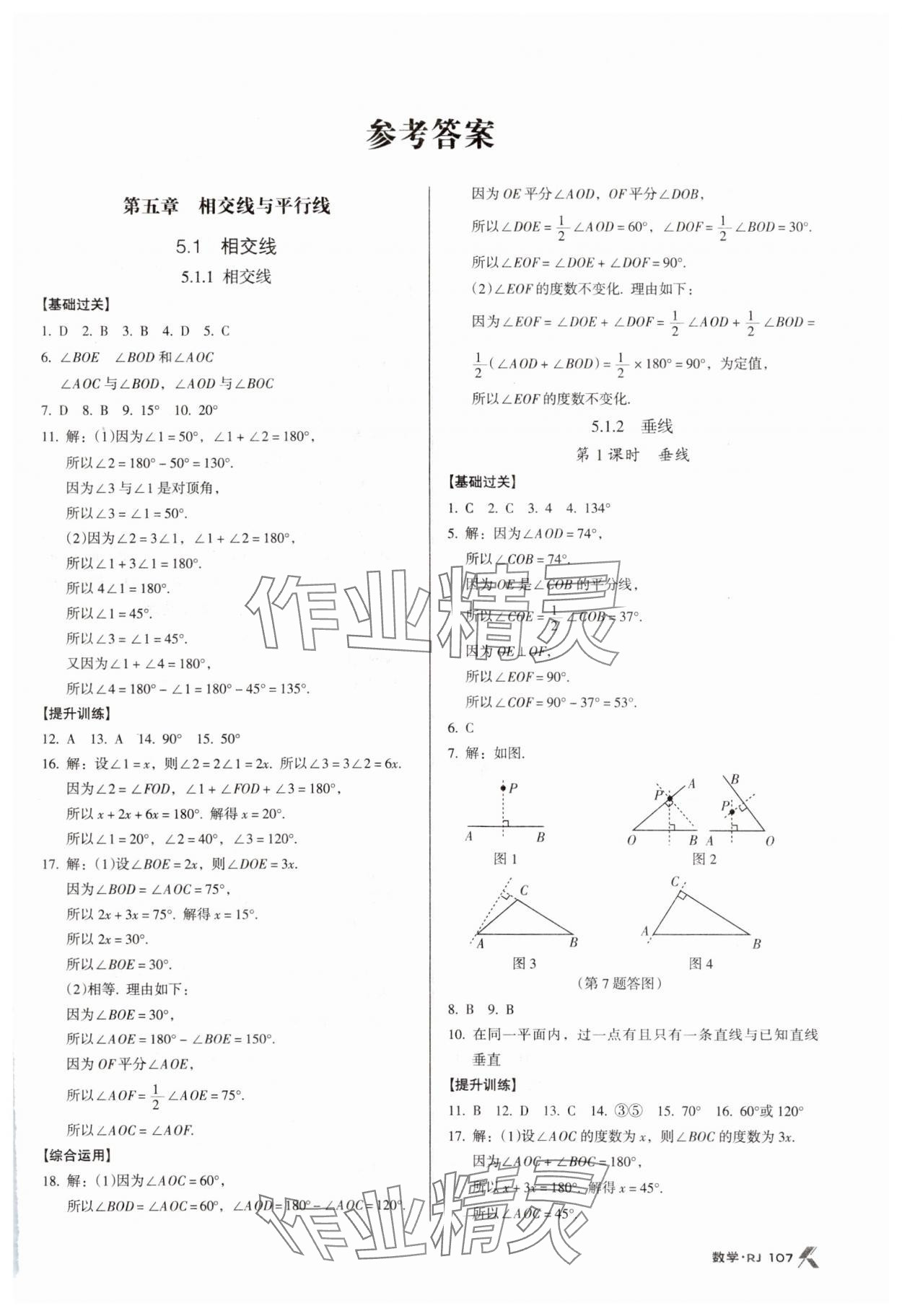 2024年全优点练课计划七年级数学下册人教版 第1页