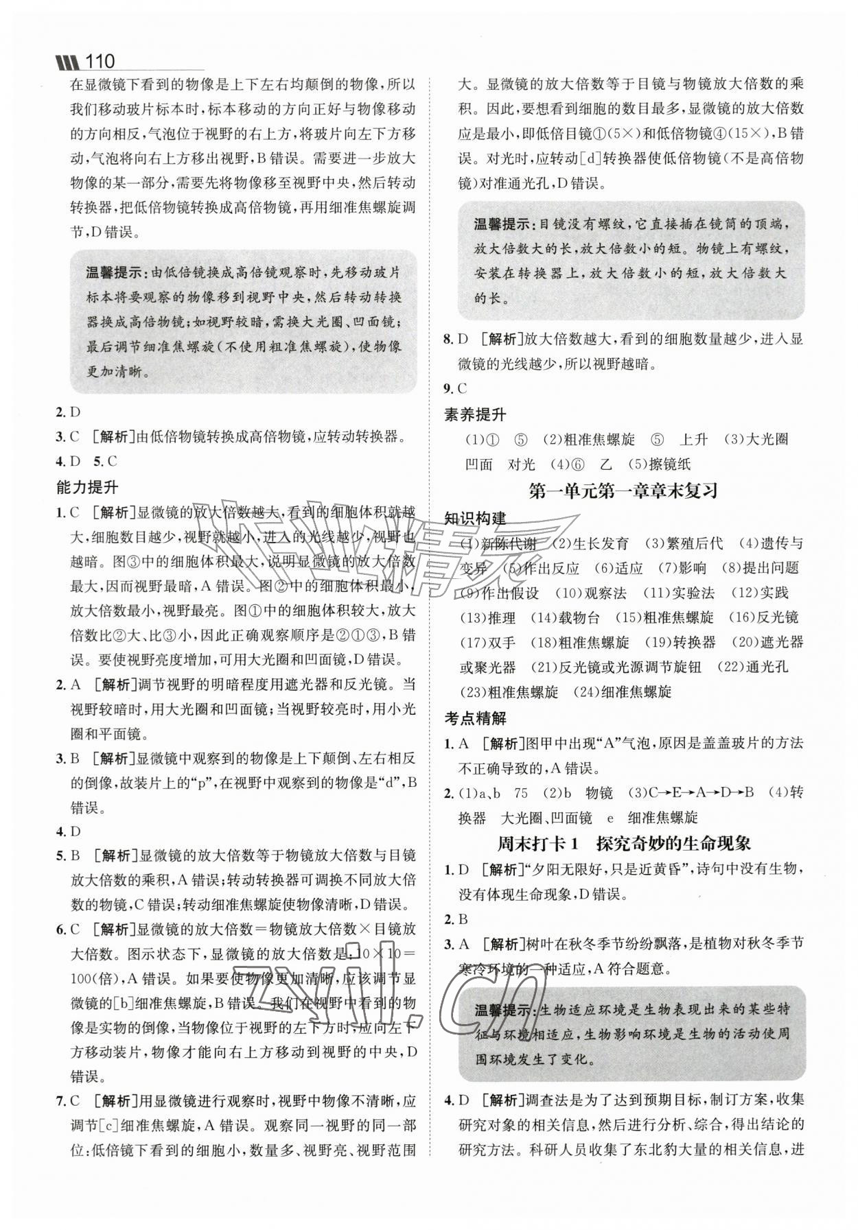 2026年同行学案七年级生物上册济南版&nbsp;参考答案第3页