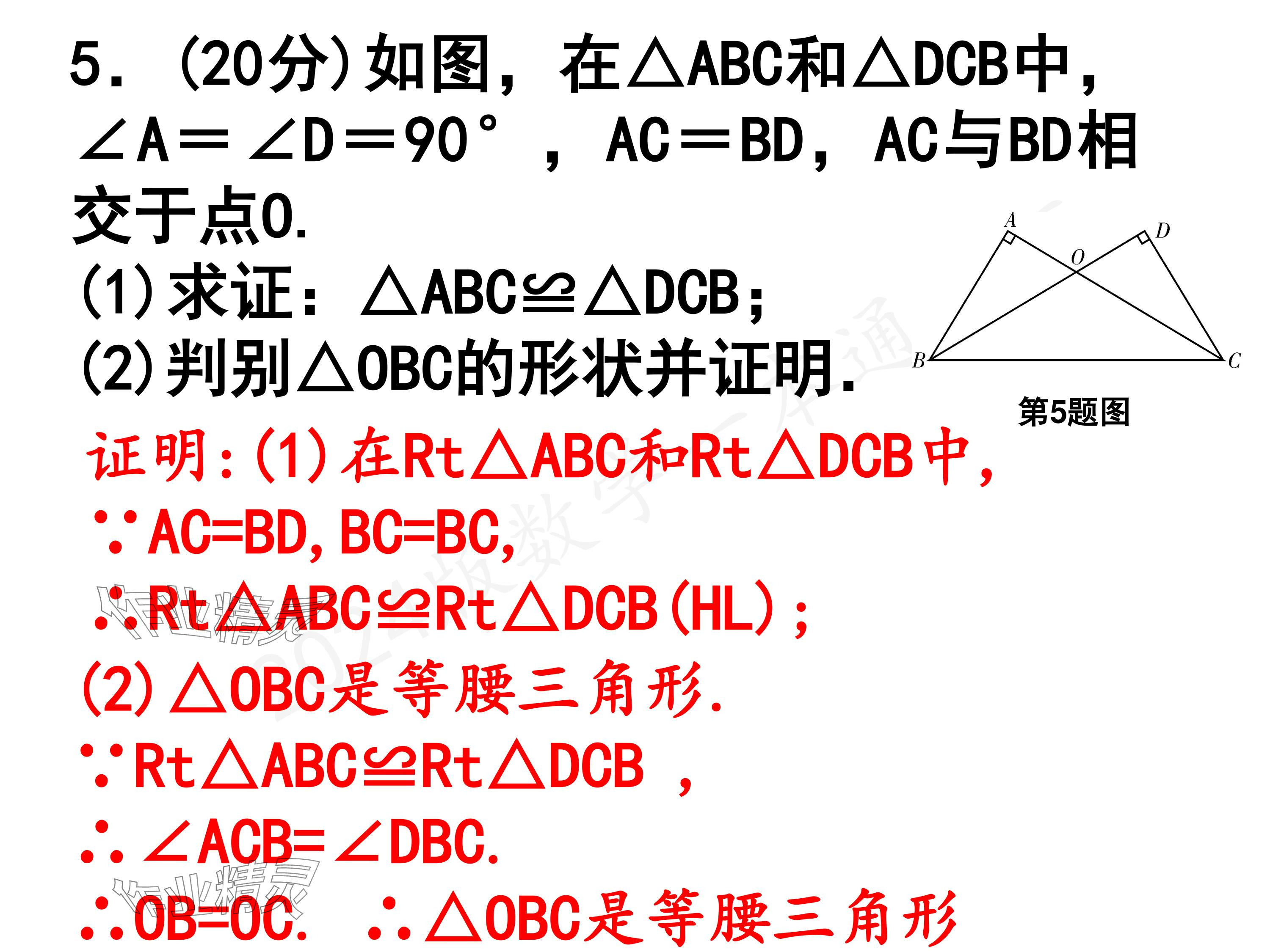 2024年一本通武漢出版社八年級(jí)數(shù)學(xué)下冊(cè)北師大版核心板 參考答案第33頁