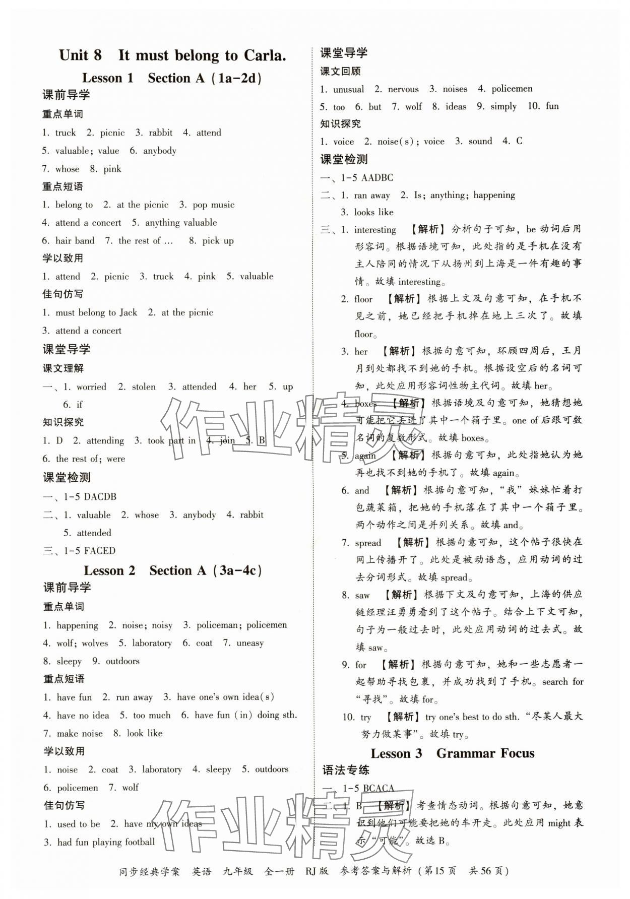 2024年同步經(jīng)典學(xué)案九年級英語全一冊人教版 第15頁