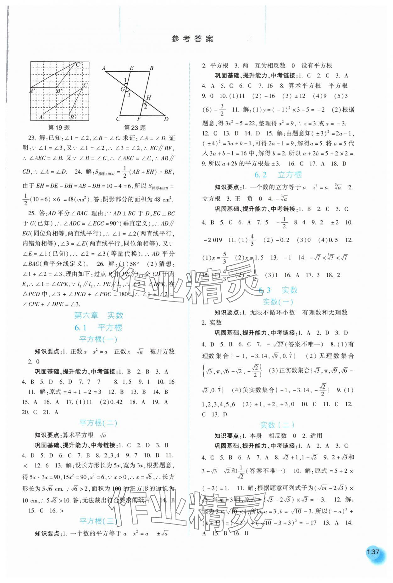 2024年同步训练河北人民出版社七年级数学下册人教版 第3页